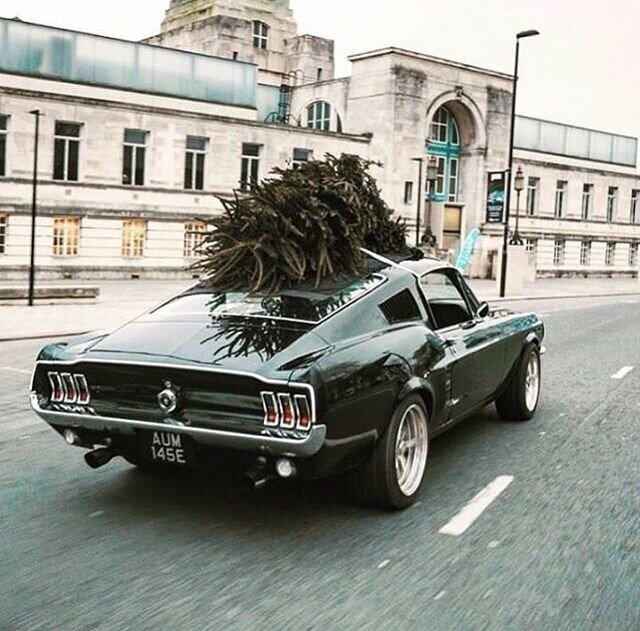 Christmas is over ▪️⠀
.⠀
.⠀
.⠀
.⠀
.⠀
.⠀
#46garage #garage #vilnius #kaunas #klaipeda #panevezys #siauliai #klaipėda #panevėžys #&scaron;iauliai #garazas #garažas #autoplius #lithuania #carsofinstagram #getoutanddrive #automobilis #lekiam #servisas #a
