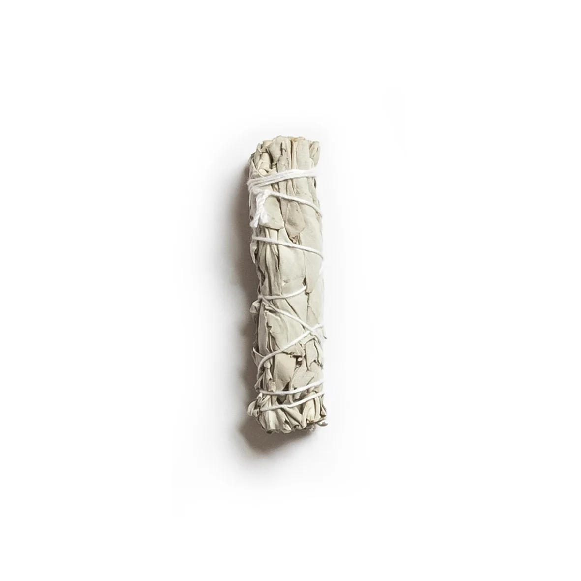 Native-Sister-BOYB-Smudge.jpg