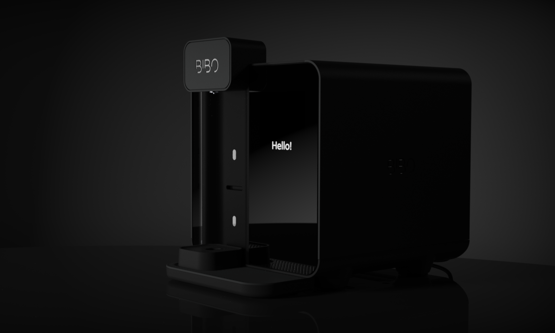 Bibo_CMF_Black_updated model.2479_ctop.png