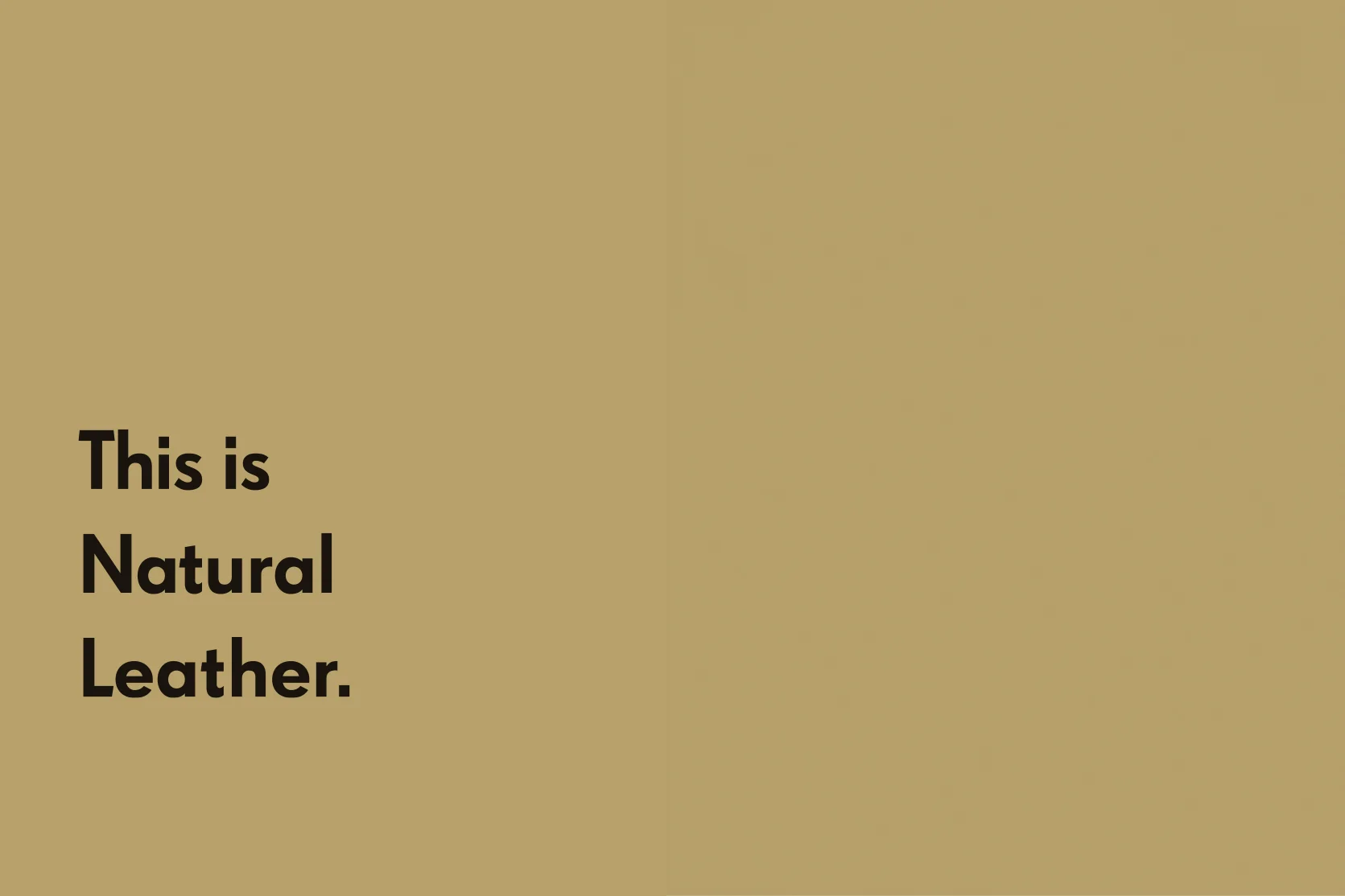 Julia-Kostreva-Studio-Branding-Joshu-Vela--Typography-Sample-Campaign-This-is-Natural-Leather.jpg