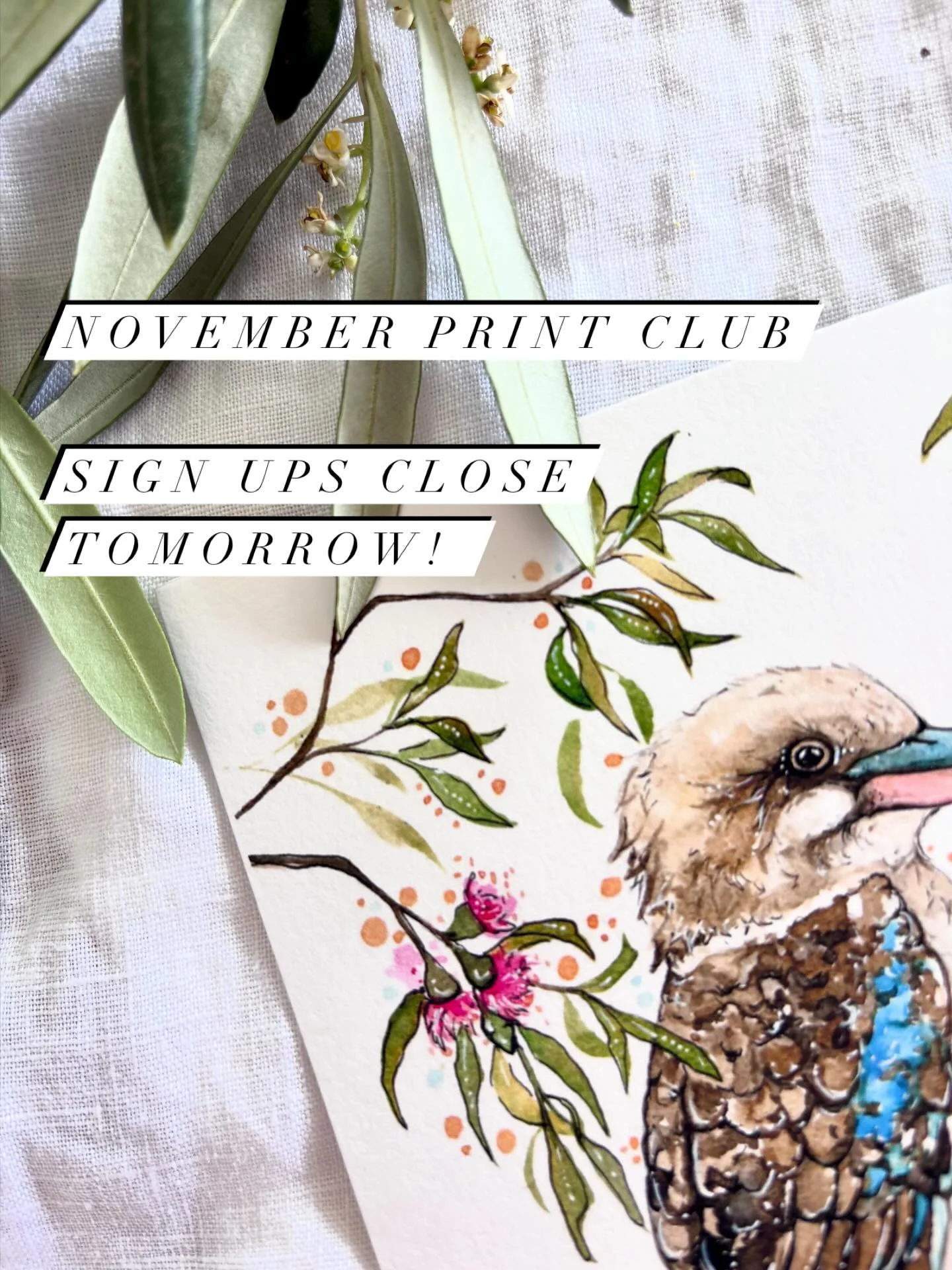 Woah! Friends, we&rsquo;re already at the 14th of November and sign ups for this month&rsquo;s Print Club close tomorrow! 😲 It&rsquo;s the perfect little treat to arrive in the mail for you.. or you could purchase on behalf of someone else for an or