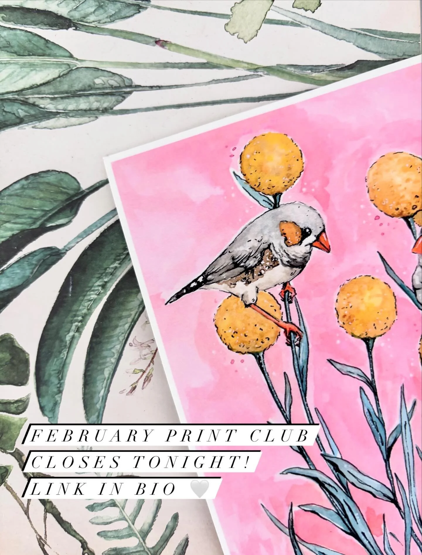 It&rsquo;s giving- Pink for the month of love 💕

February Print Club closes tonight! Only $12 for the happiest of mail heading your way with free shipping. Head to the link in my bio, or https://www.rhianelyciamcleod.com/print-club

#printclub #artp