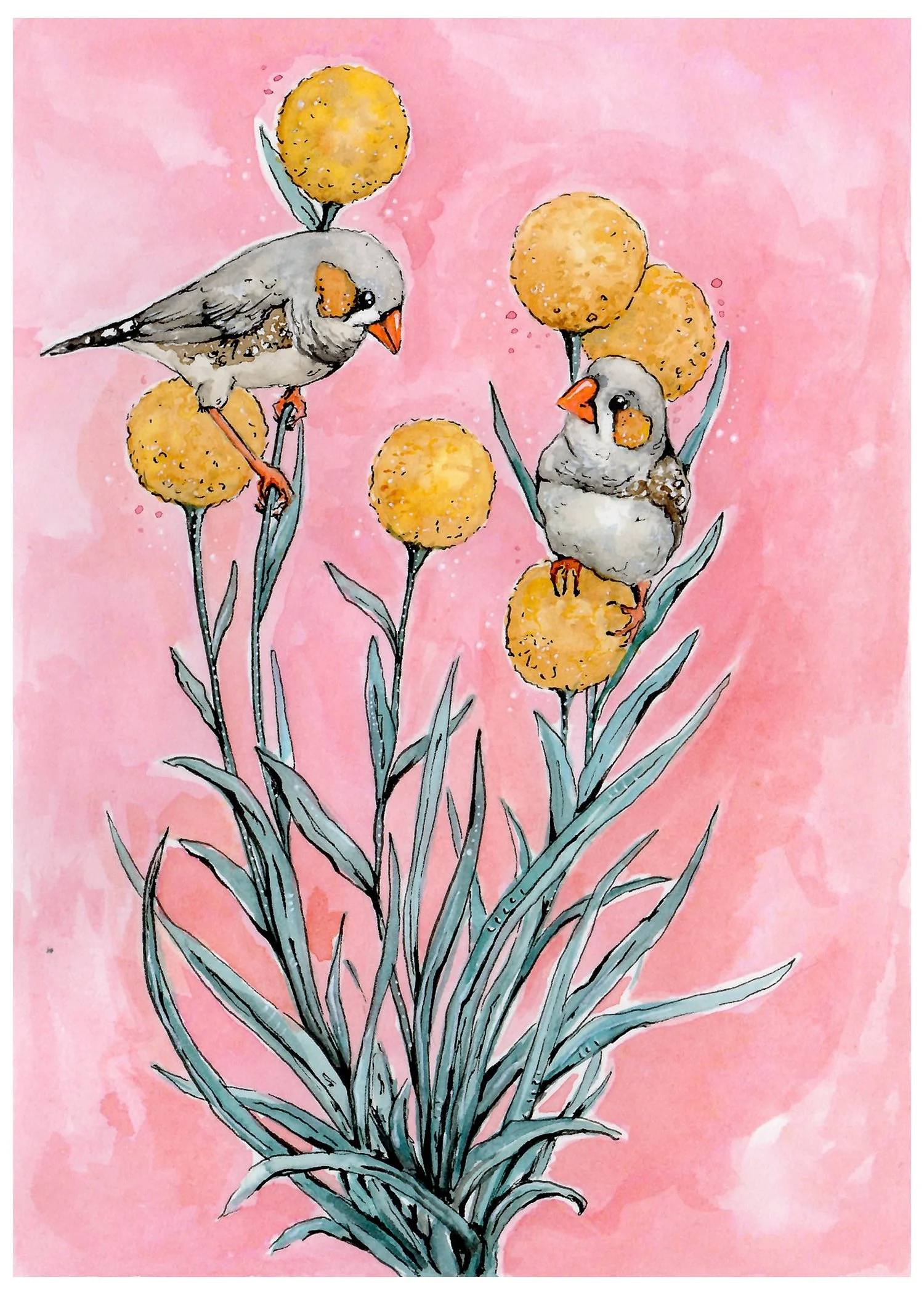 February 26 (5x7).jpg