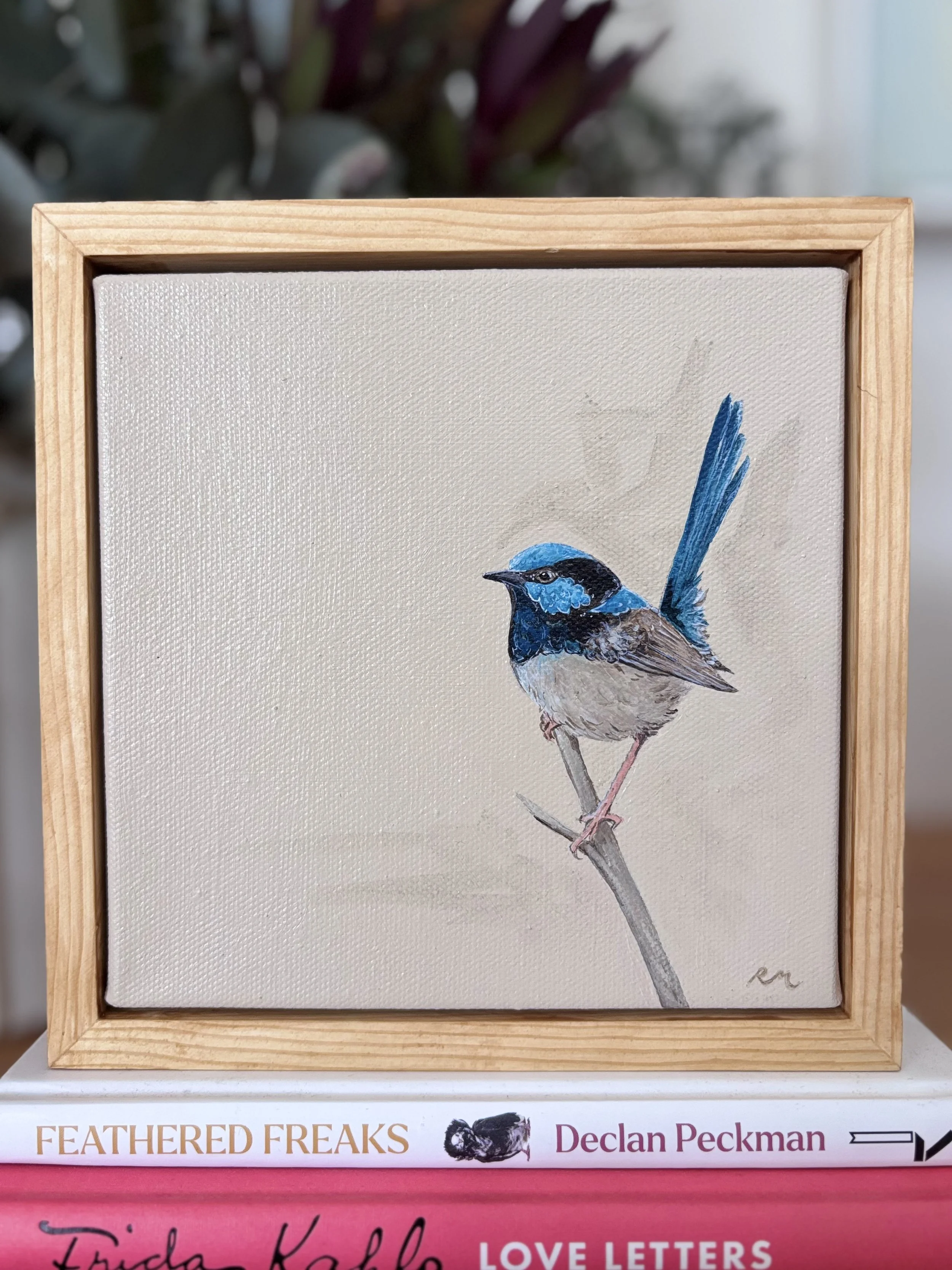 'Stone Fairy Wren'' Original Artwork
