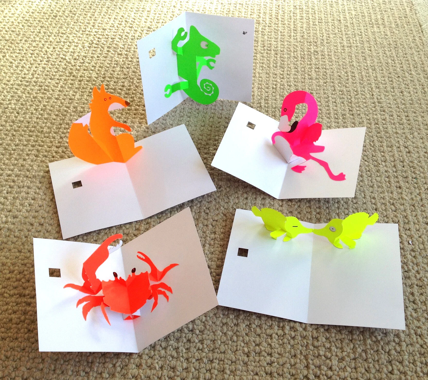 Fluro Animals- a collection of 5 neon pop-up cards
