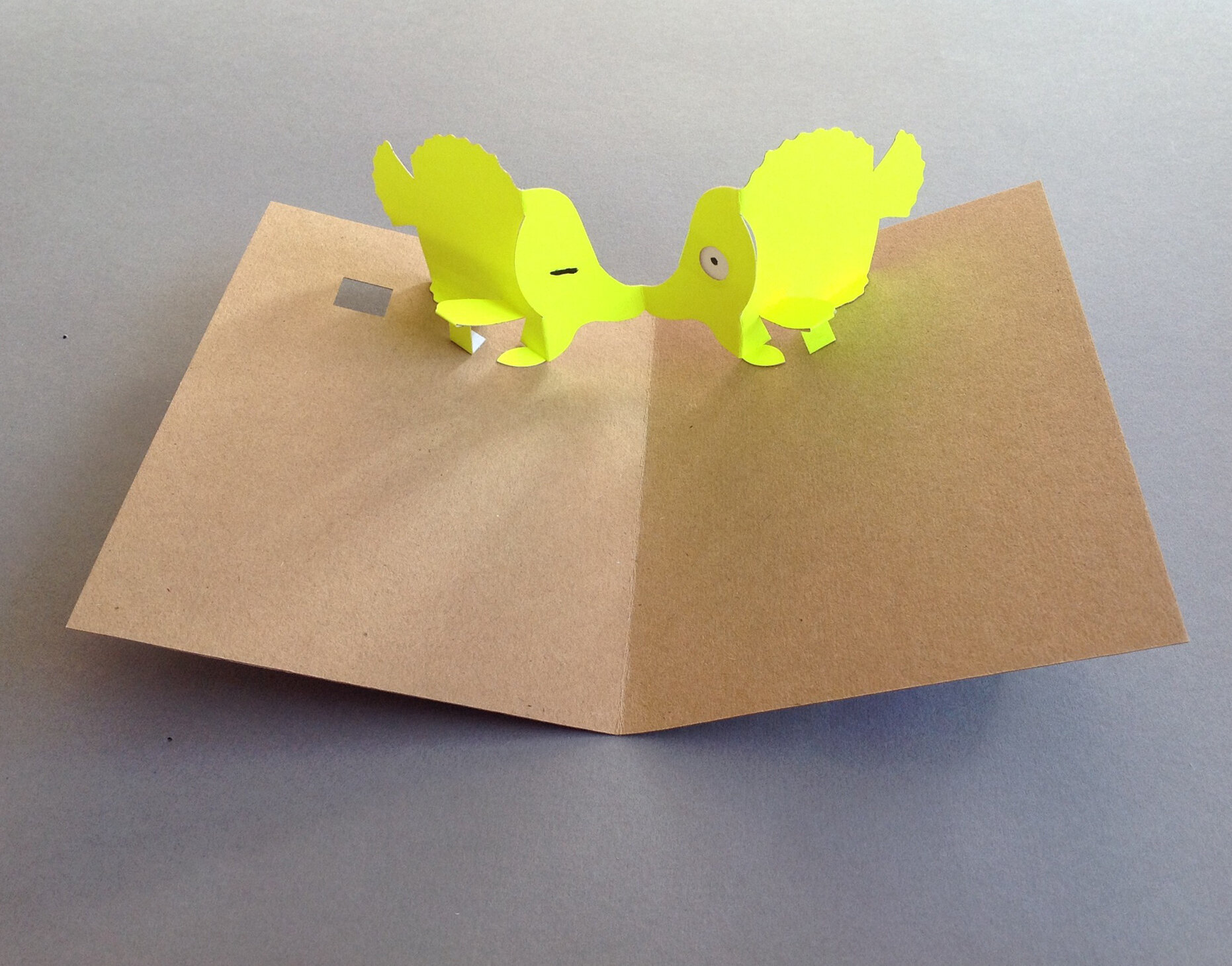 Yellow Kissing Fish