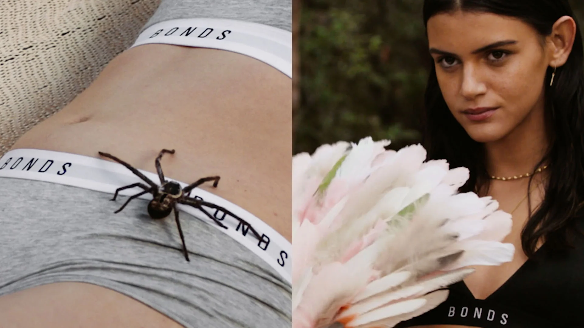 Bonds Queendom Content 16-9.jpg