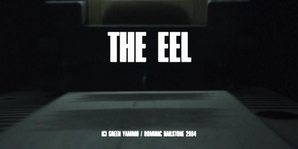 The Eel 