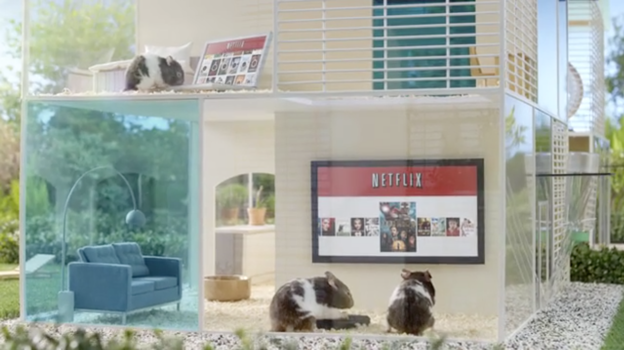 Netflix build