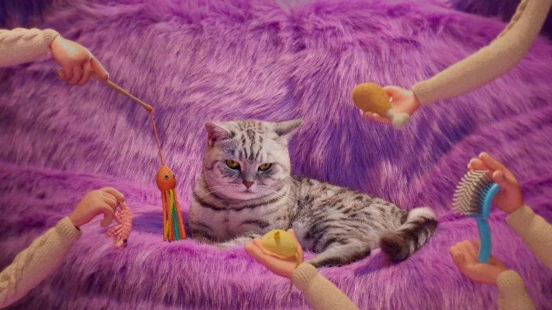 Renee_Zhan_Whiskas_Purr_More_Still_03.jpg
