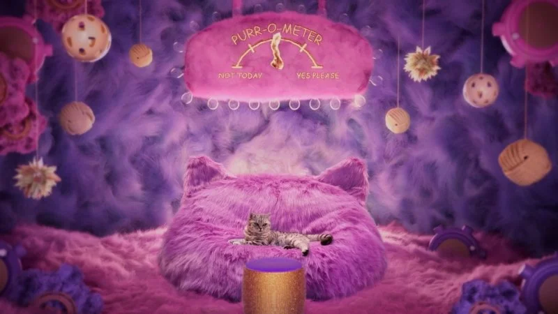 Renee_Zhan_Whiskas_Purr_More_Still_01.jpg