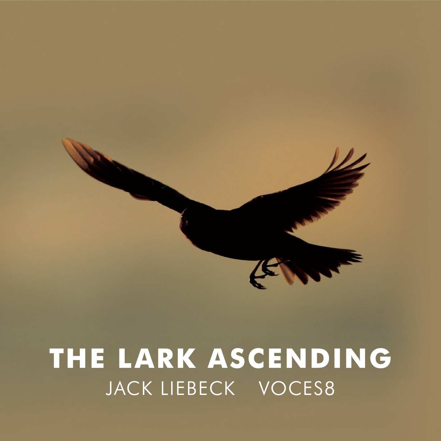 VCM153 The Lark Ascending