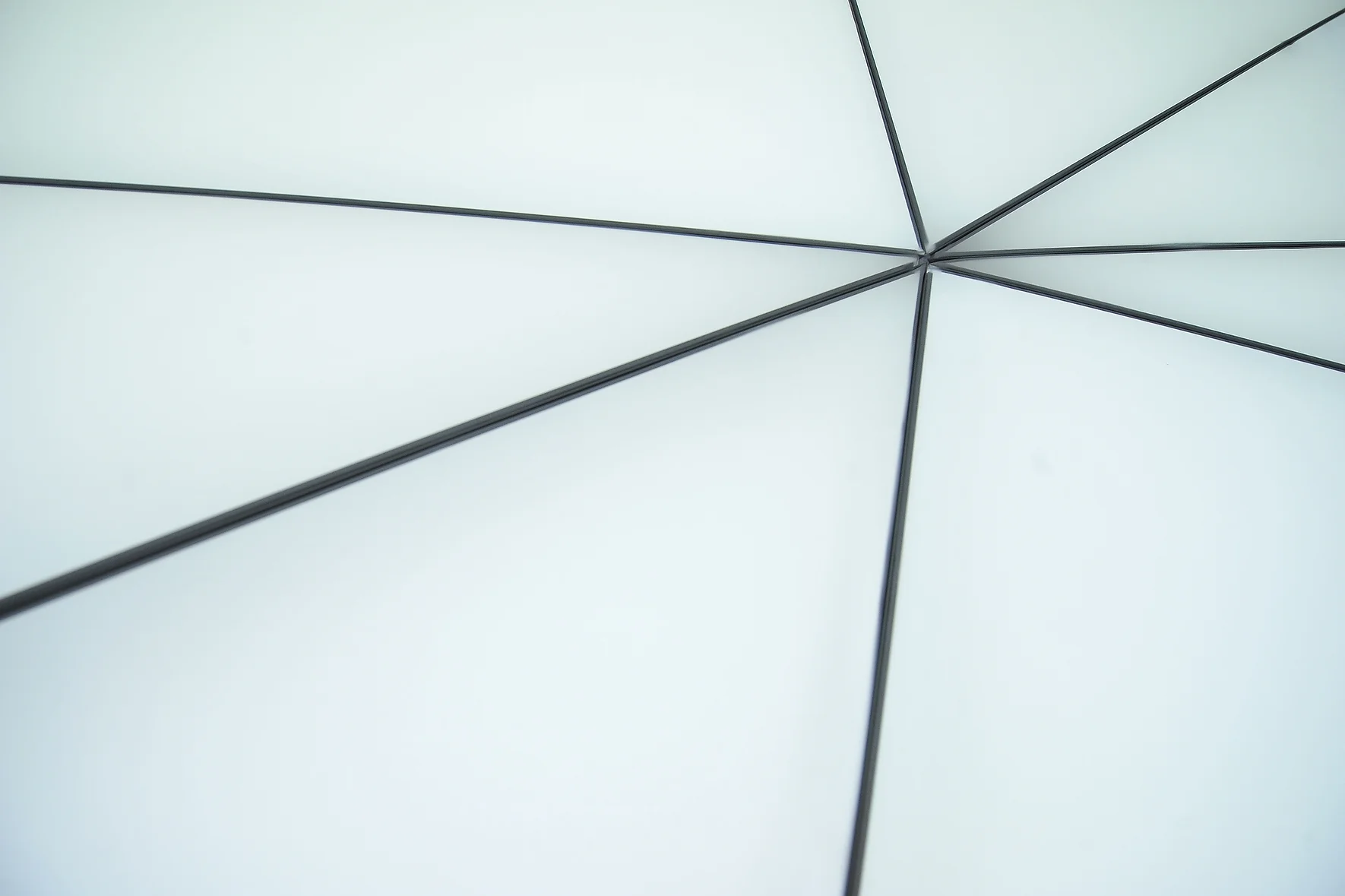 Network Pavilion is designed to visualize a system of interconnected people or structures. 