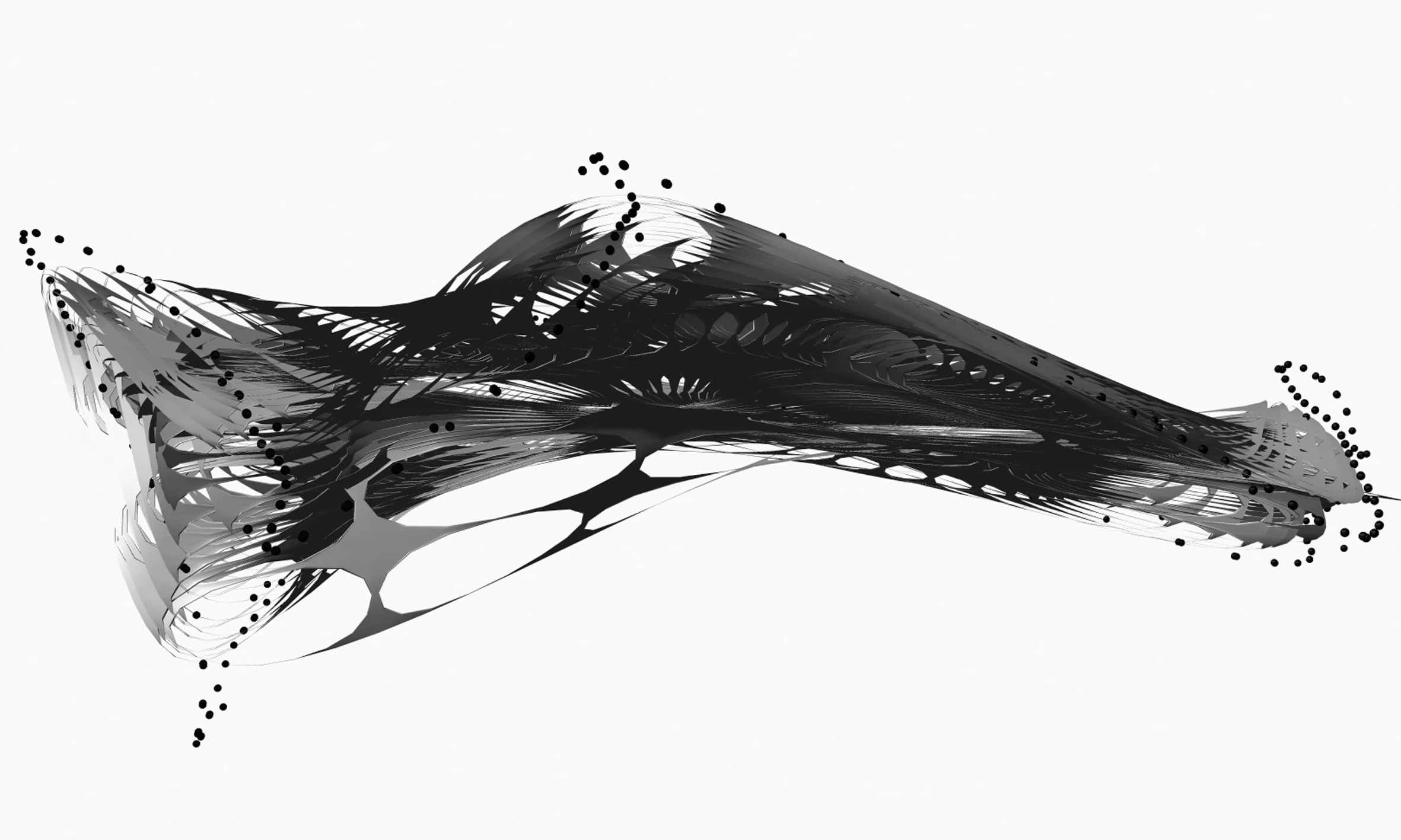 Flotsam Polynomial C Attractor