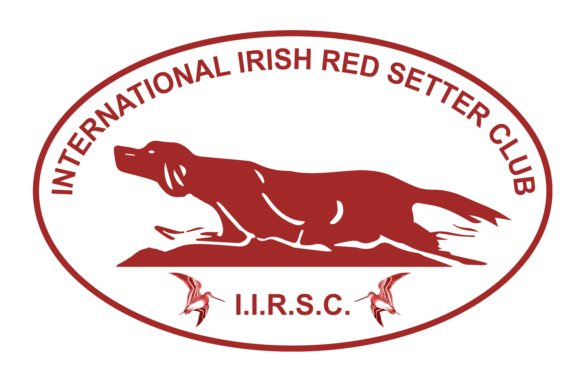 hår bunke undskyldning International Irish Red Setter Club