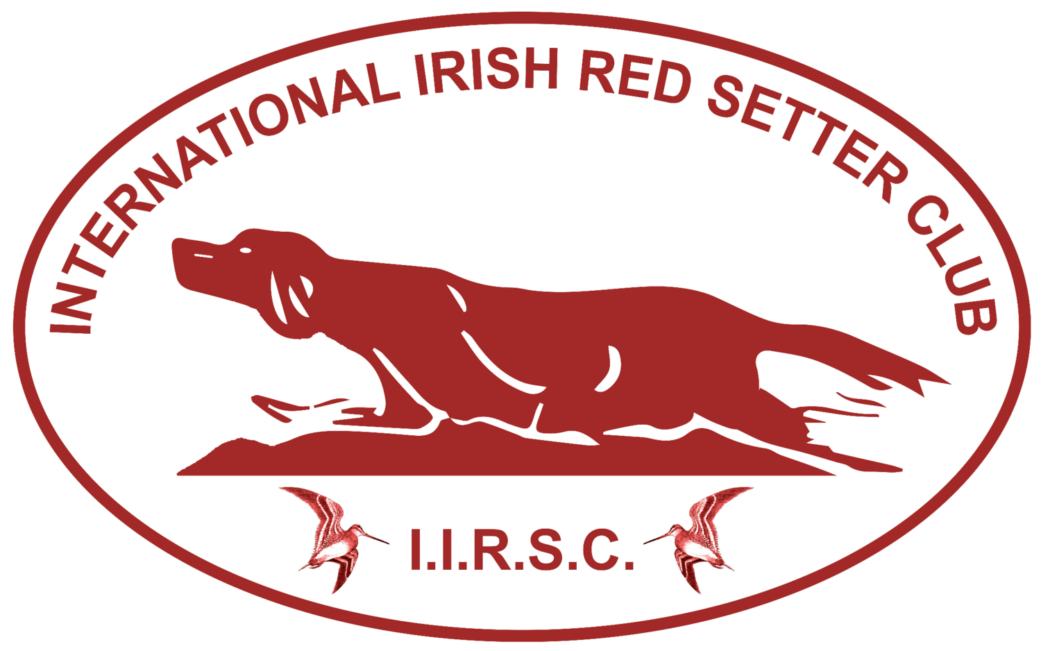 International Irish Red Setter Club