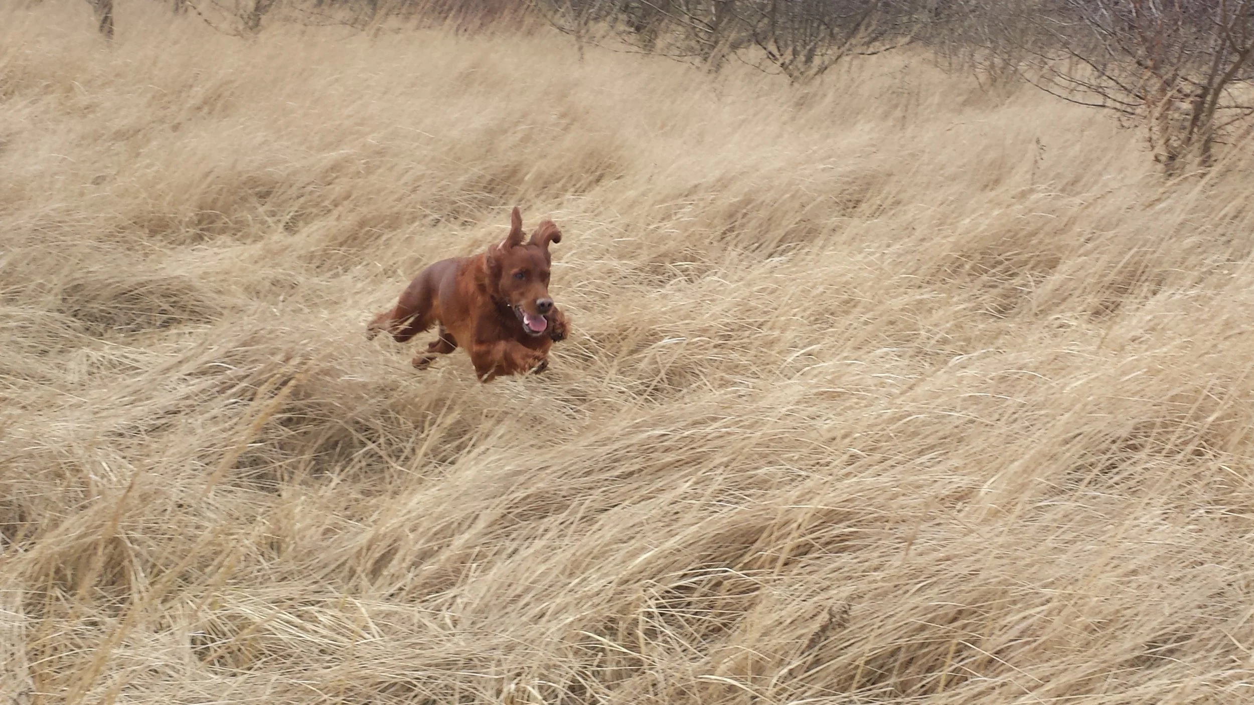 20140307_132036_4.jpg