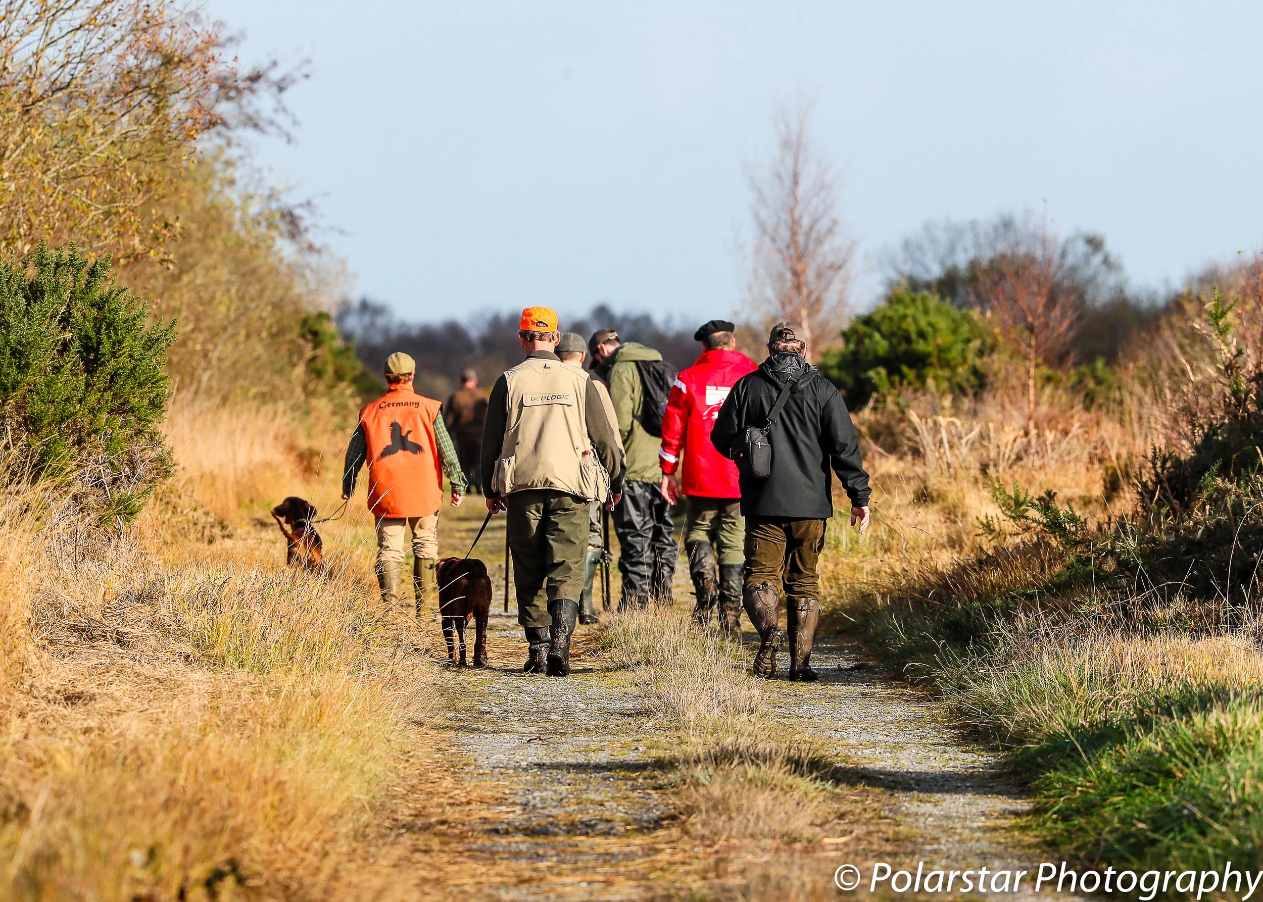 Red Setter Championship 146 (1 of 1).jpg