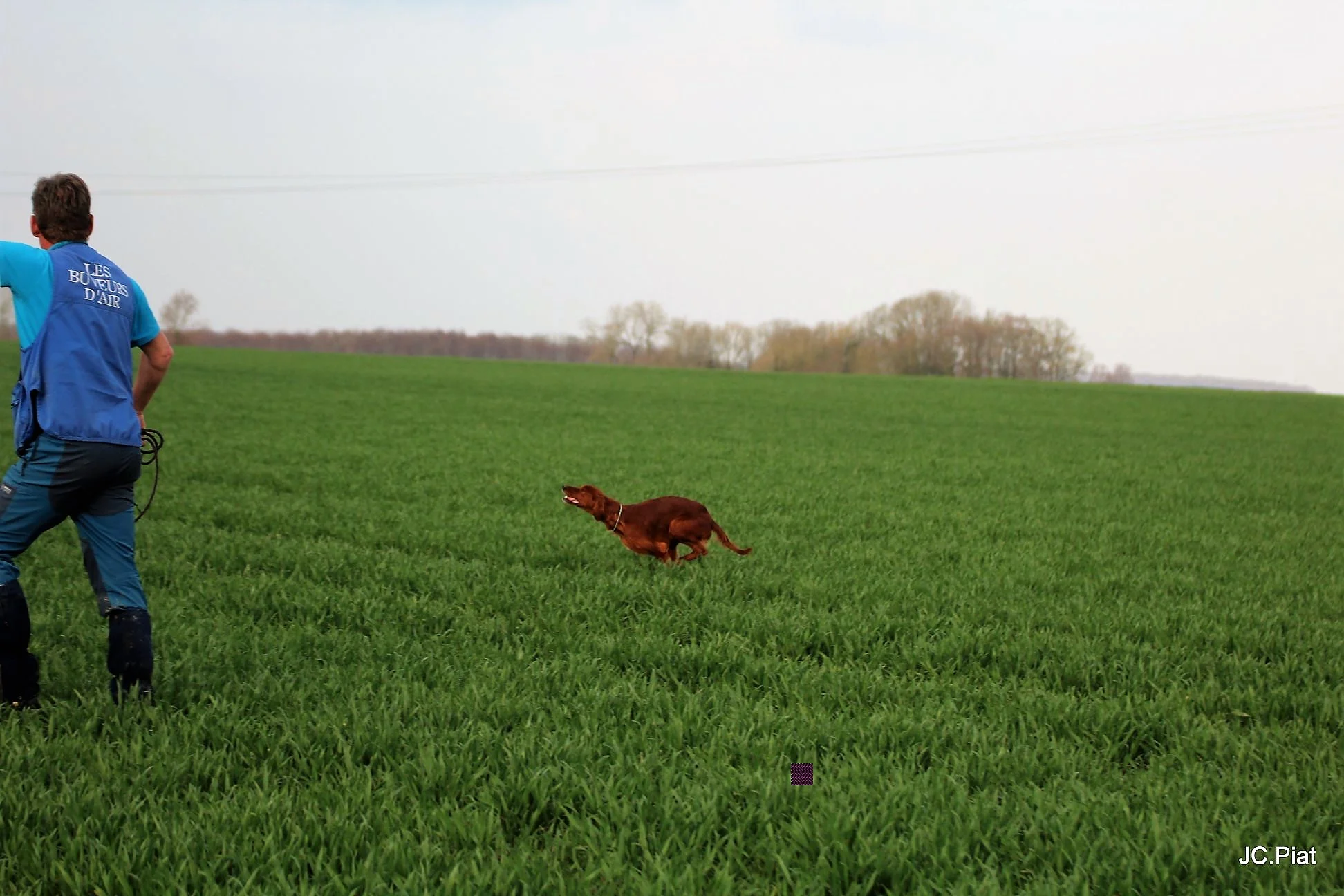 Jessie de l'Anse de Ty Roux: Vince l'Open de France Printemps