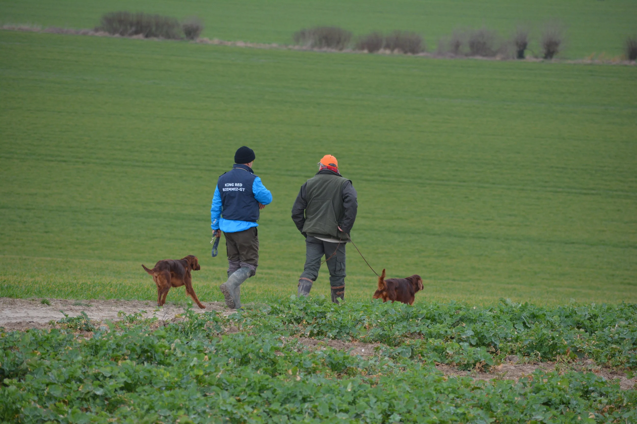 Invitation European Championship Moncetz 2019 