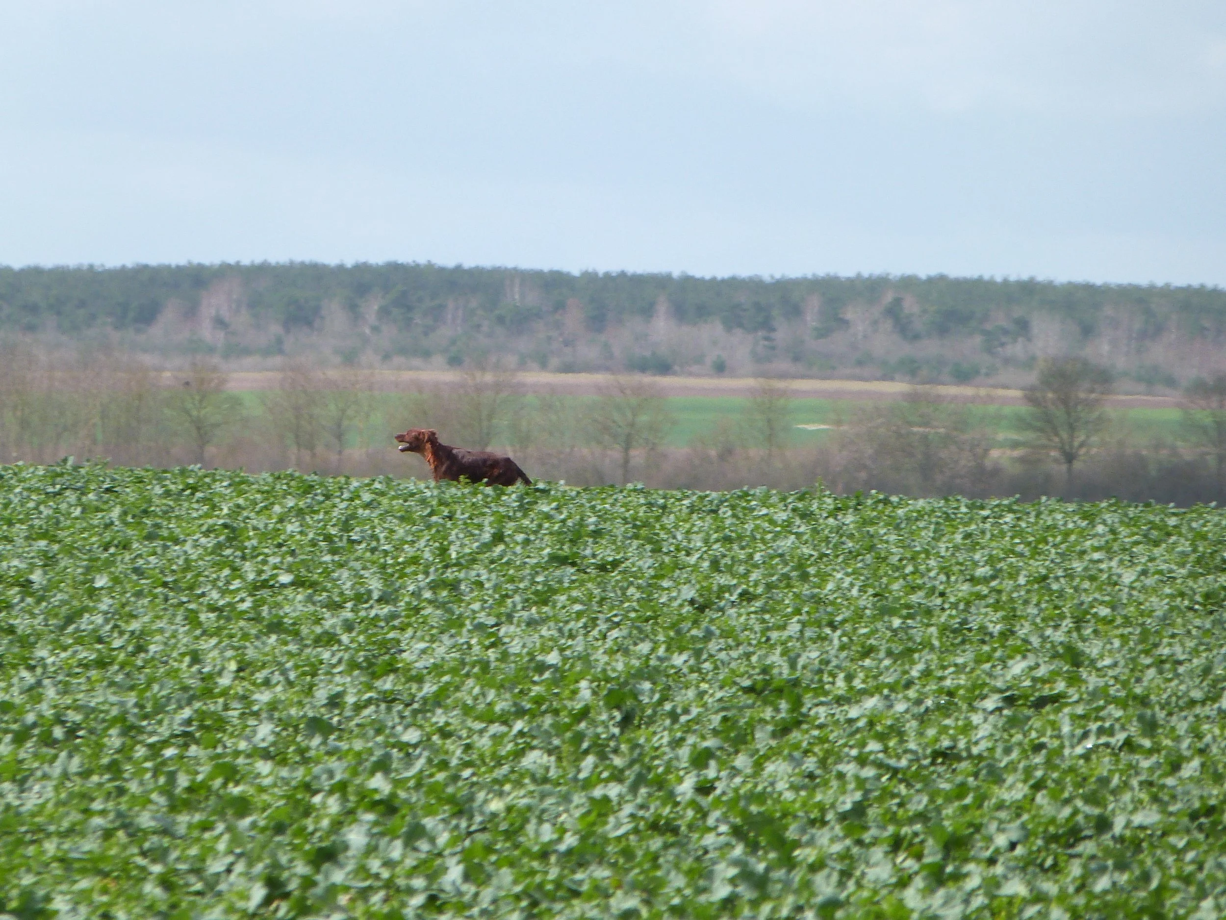 Invitation  et Reservations - Montcetz 2022