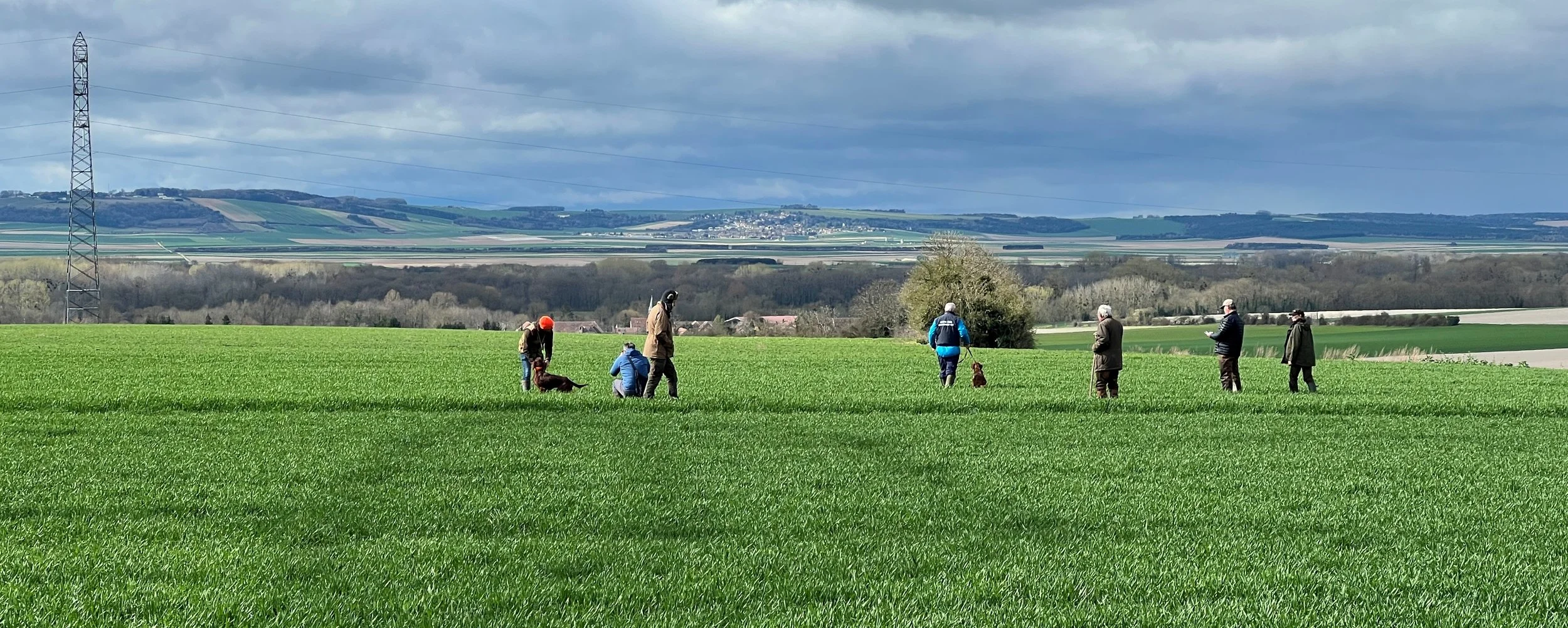 Championnat d'Europe de printemps 2026