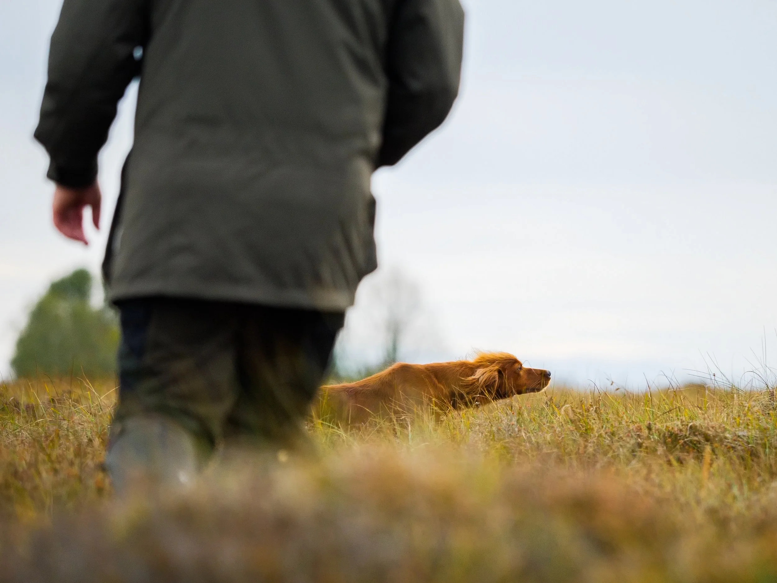 European Championship 2026 on Snipe