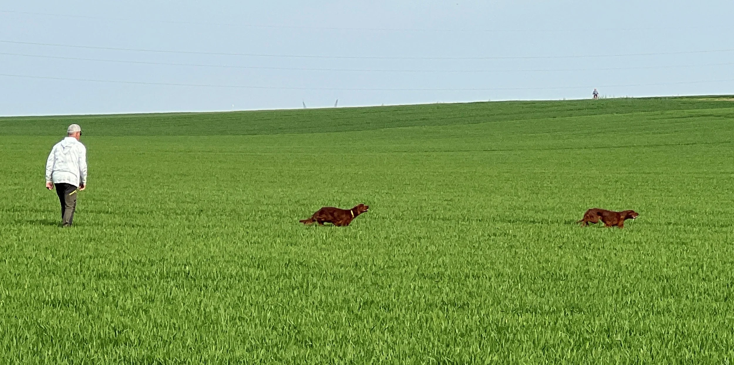 Campionato d'Europa Printemps 2026