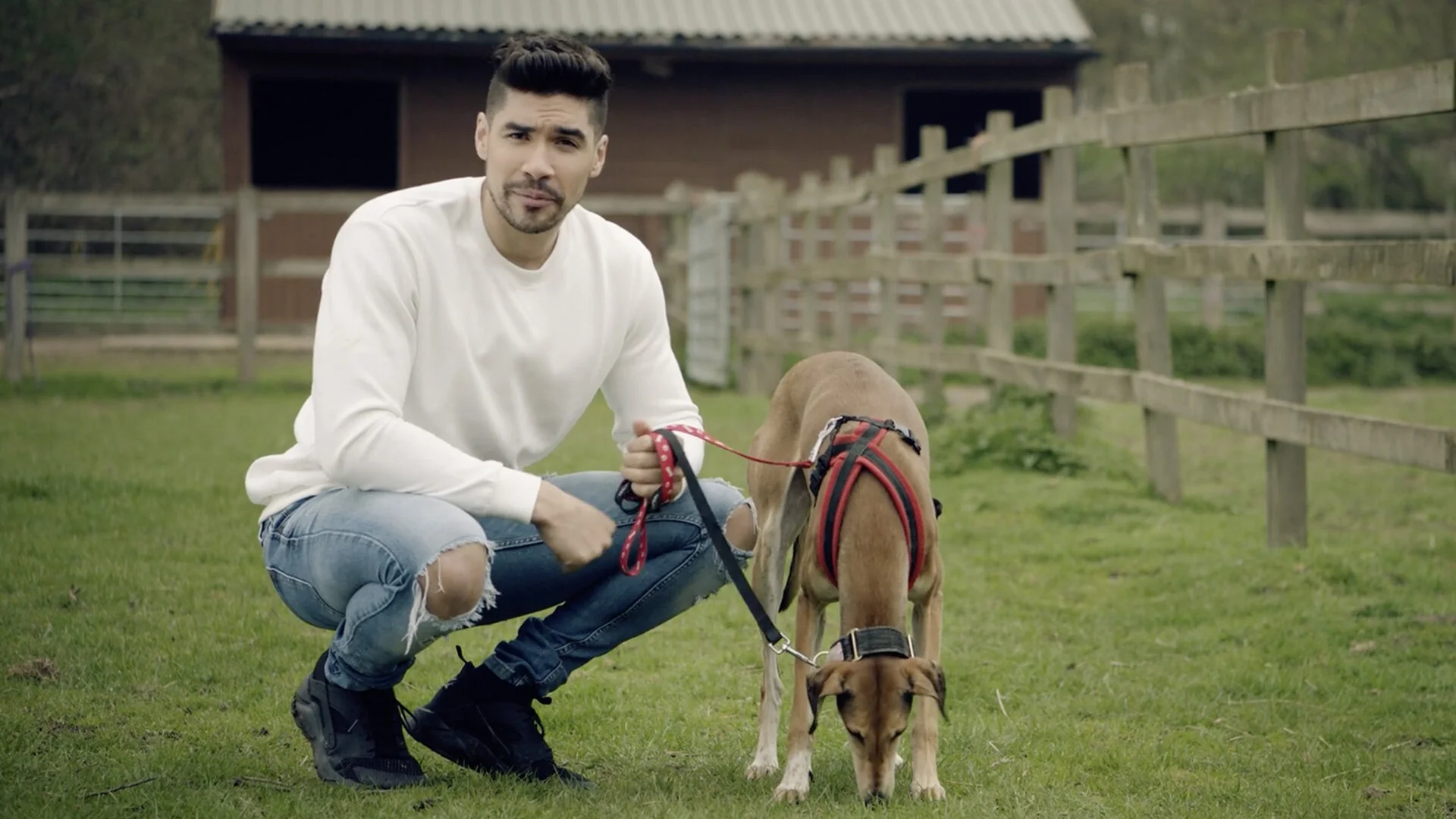 Huawei: The Unadoptables