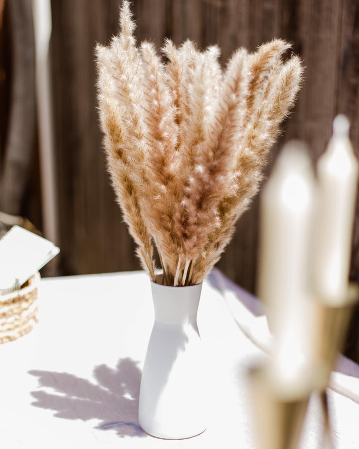 In my most RESPONDED TO EMAIL EVER&hellip;. I talked smack about Pampas Grass.
And why it gives me heartburn. And why wedding pros should STEER CLEAR.
.
When I sent this out to my mailing list yesterday, I&rsquo;d had heard of three different wedding