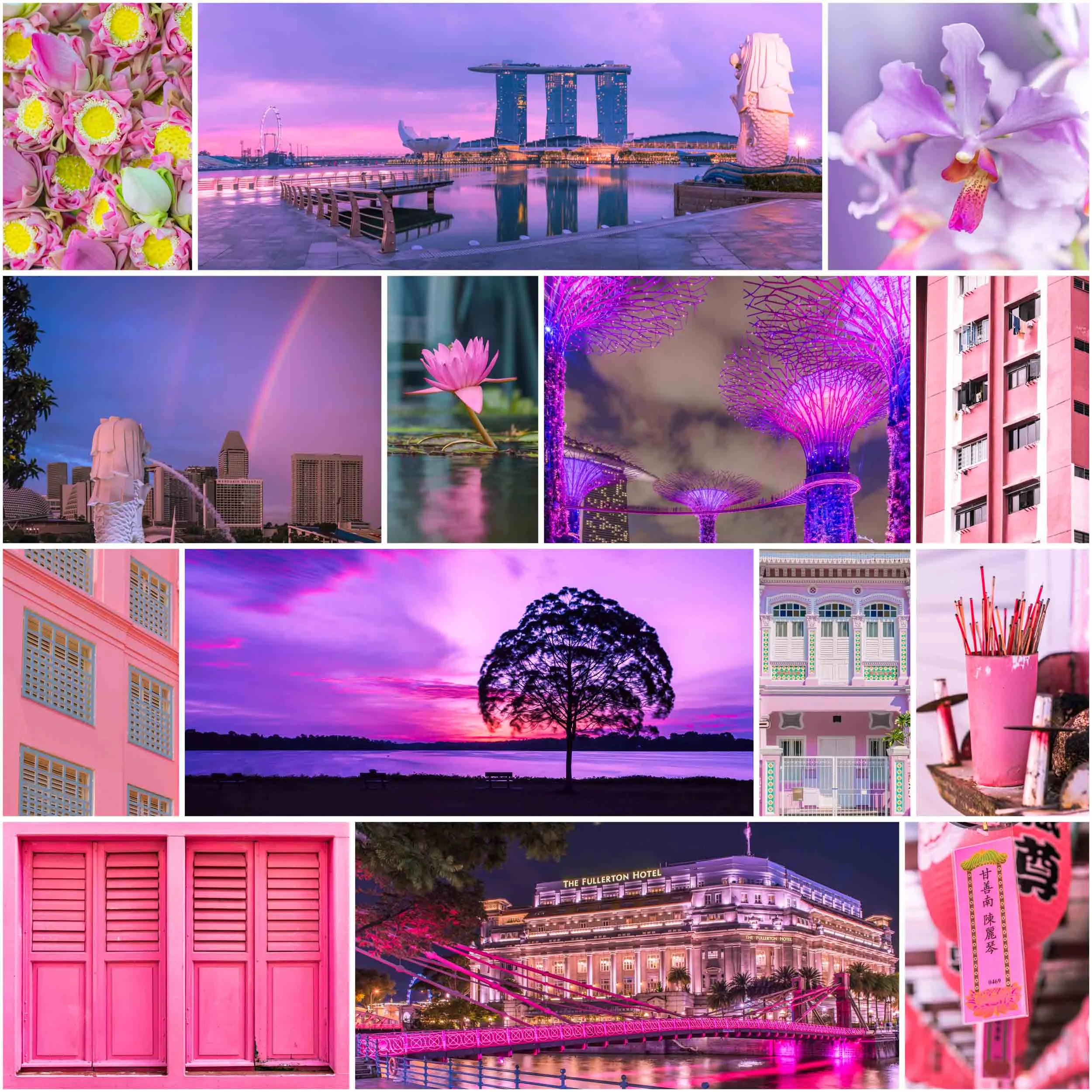 SingaPURE Singapore old and new collage.jpg