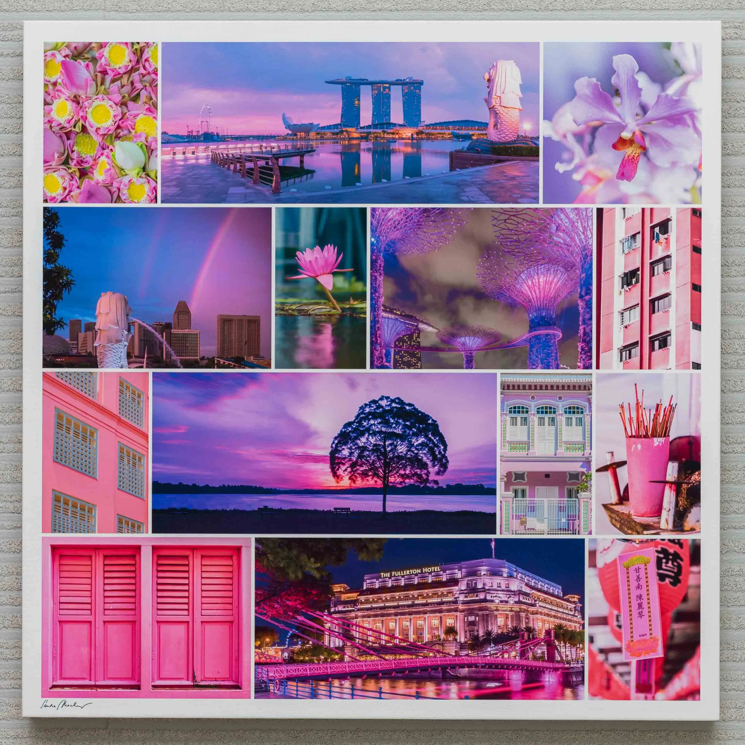 SGpure Pink canvas 1.jpg
