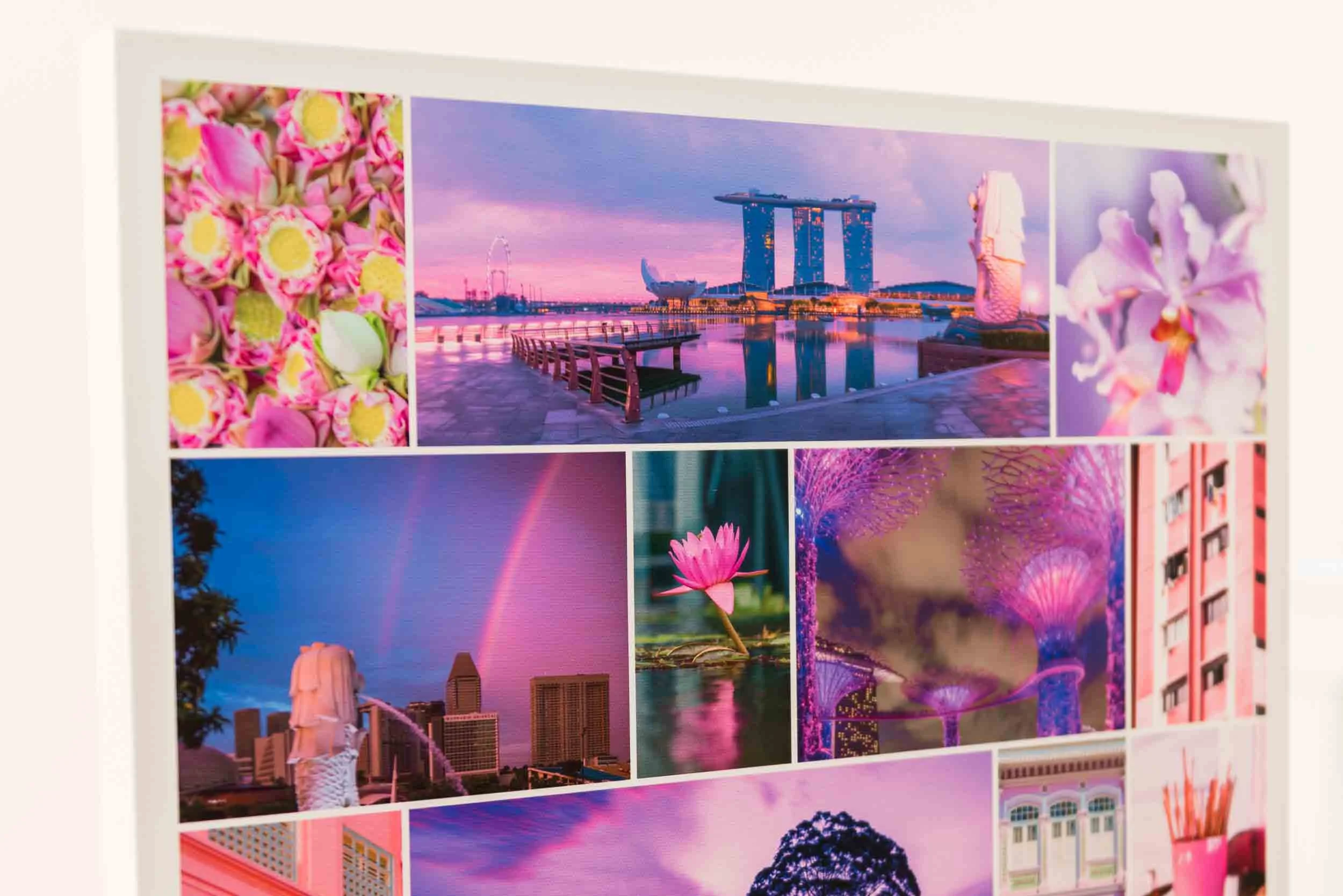 SGpure Pink canvas 2.jpg