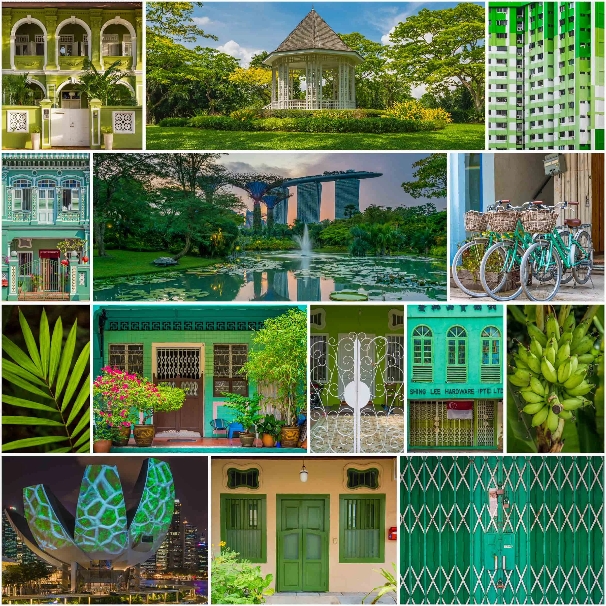 SingaPURE Green Canvas