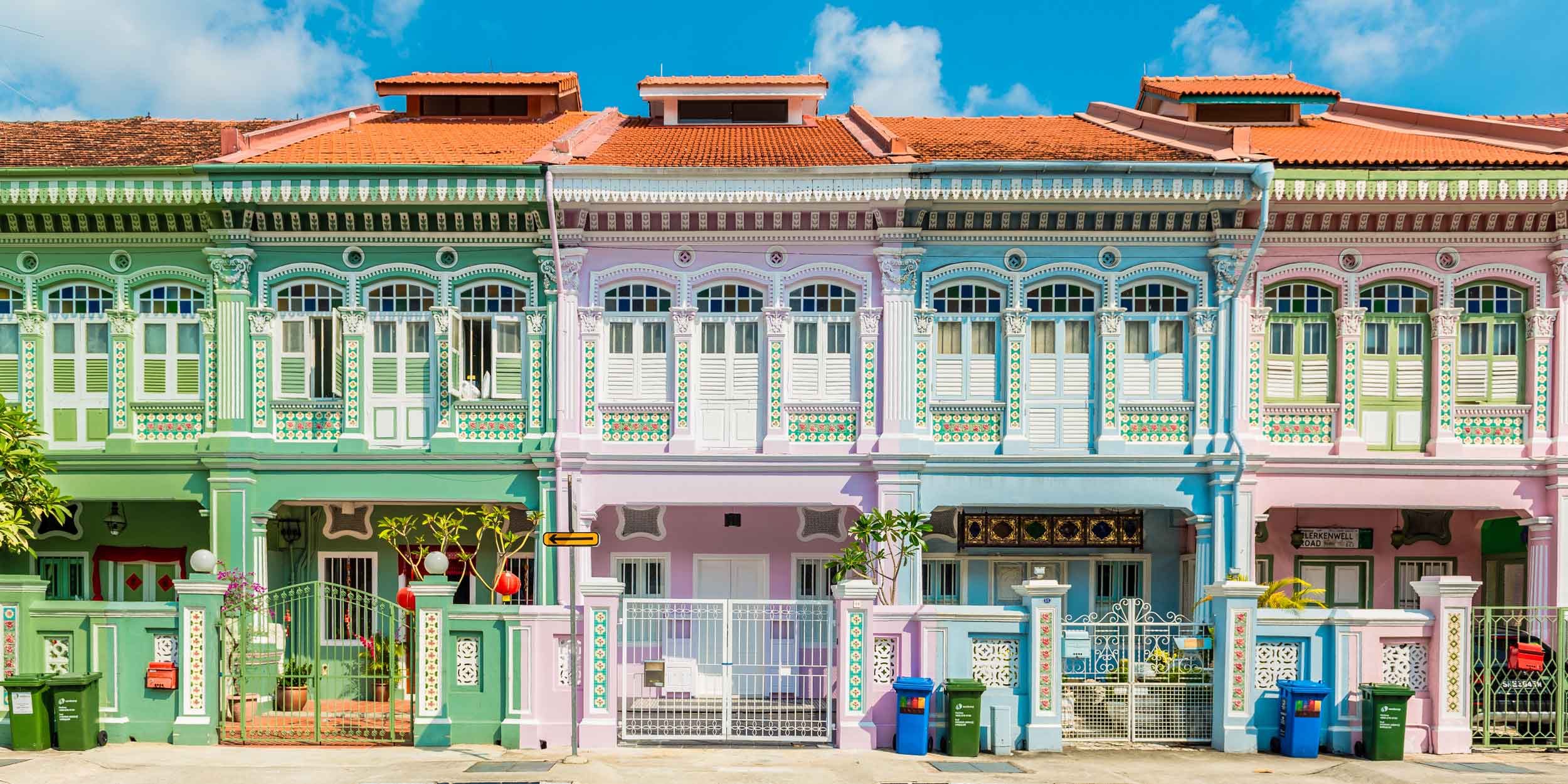Singapore Painted Ladies (no tree) CANVAS