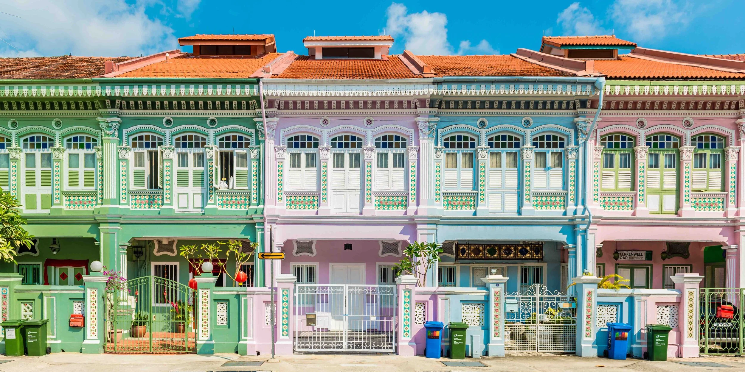 Singapore Painted Ladies PAPER PRINT