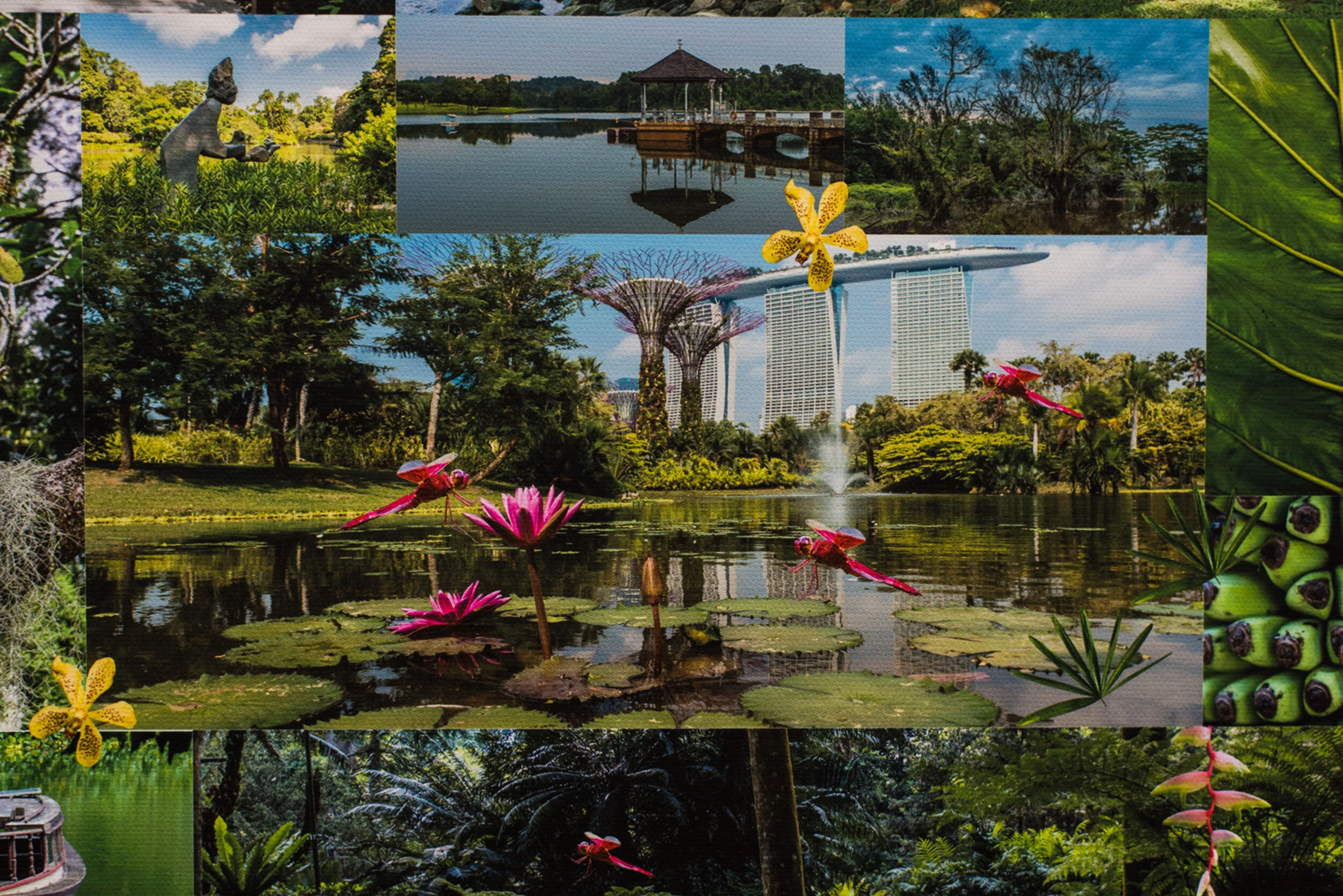 Evergreen Singapore actuals -4.jpg