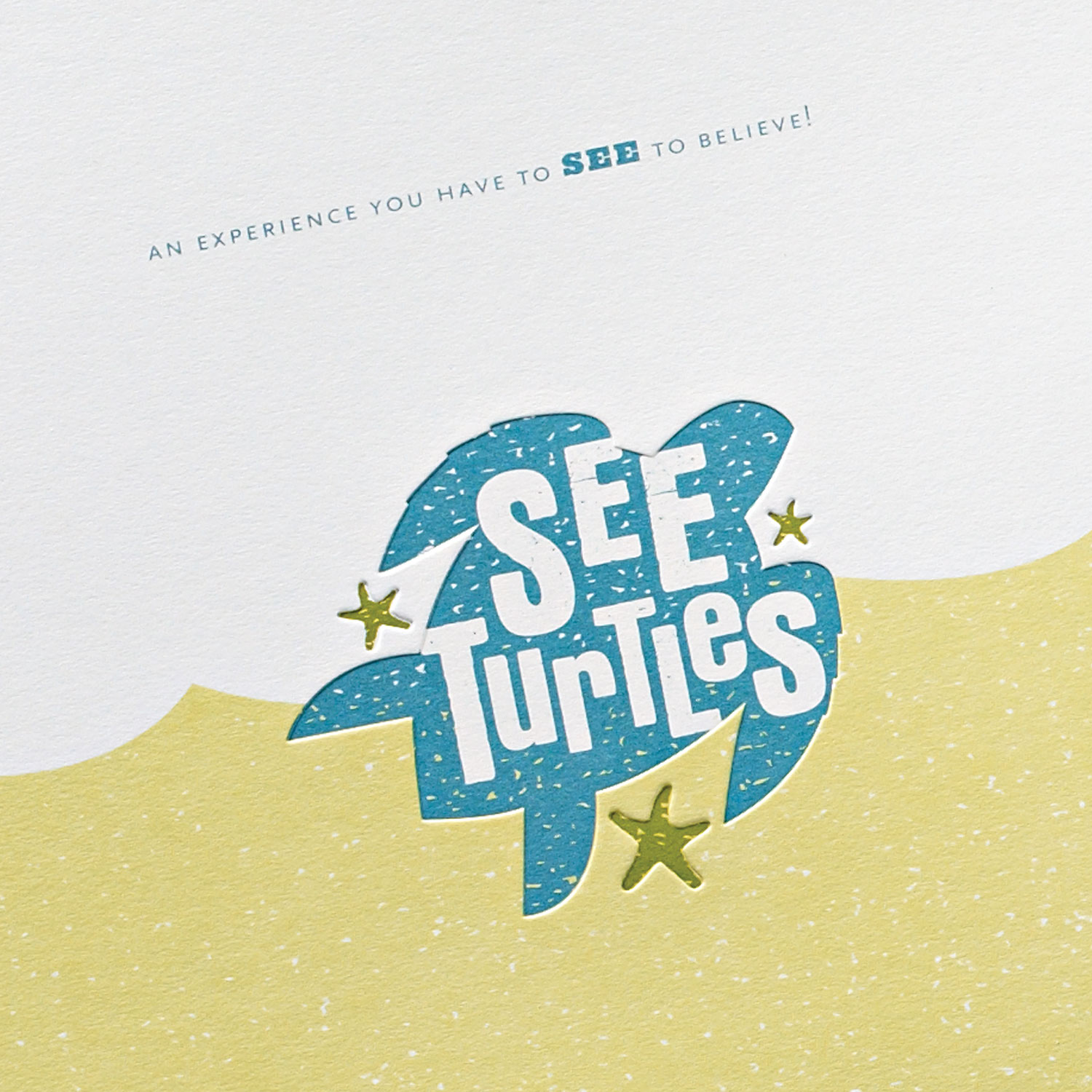  SEE Turtles – Marketing Kit 