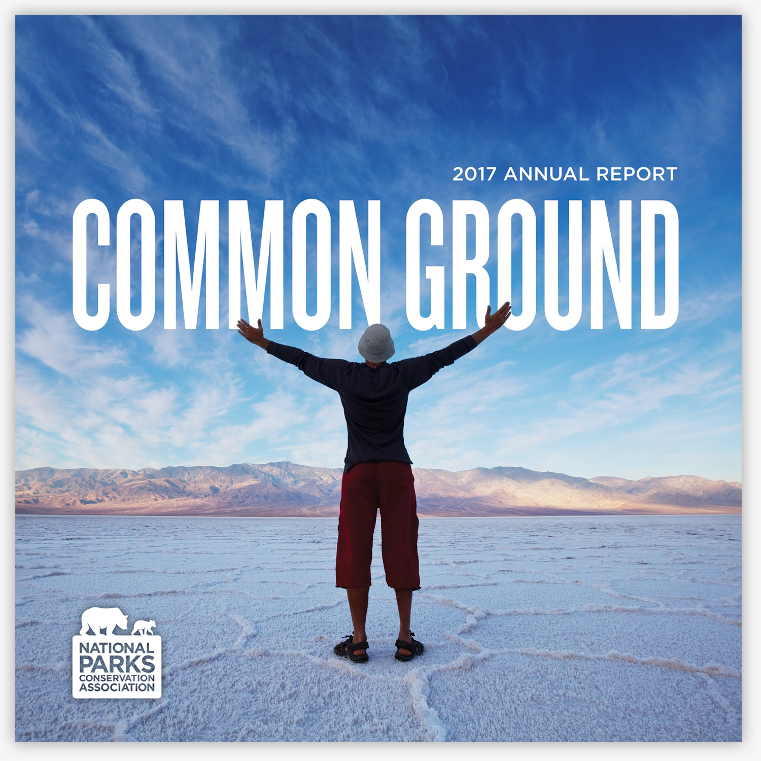   Common Ground  – 2017 Annual Report 