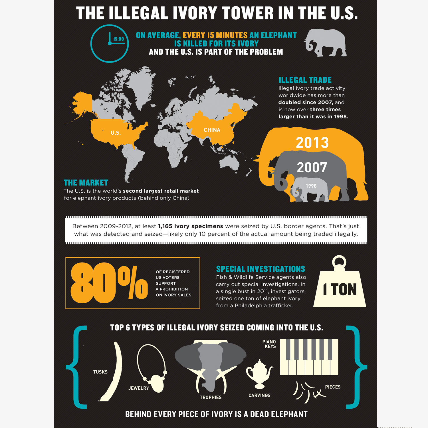 ivory_infographic.jpg
