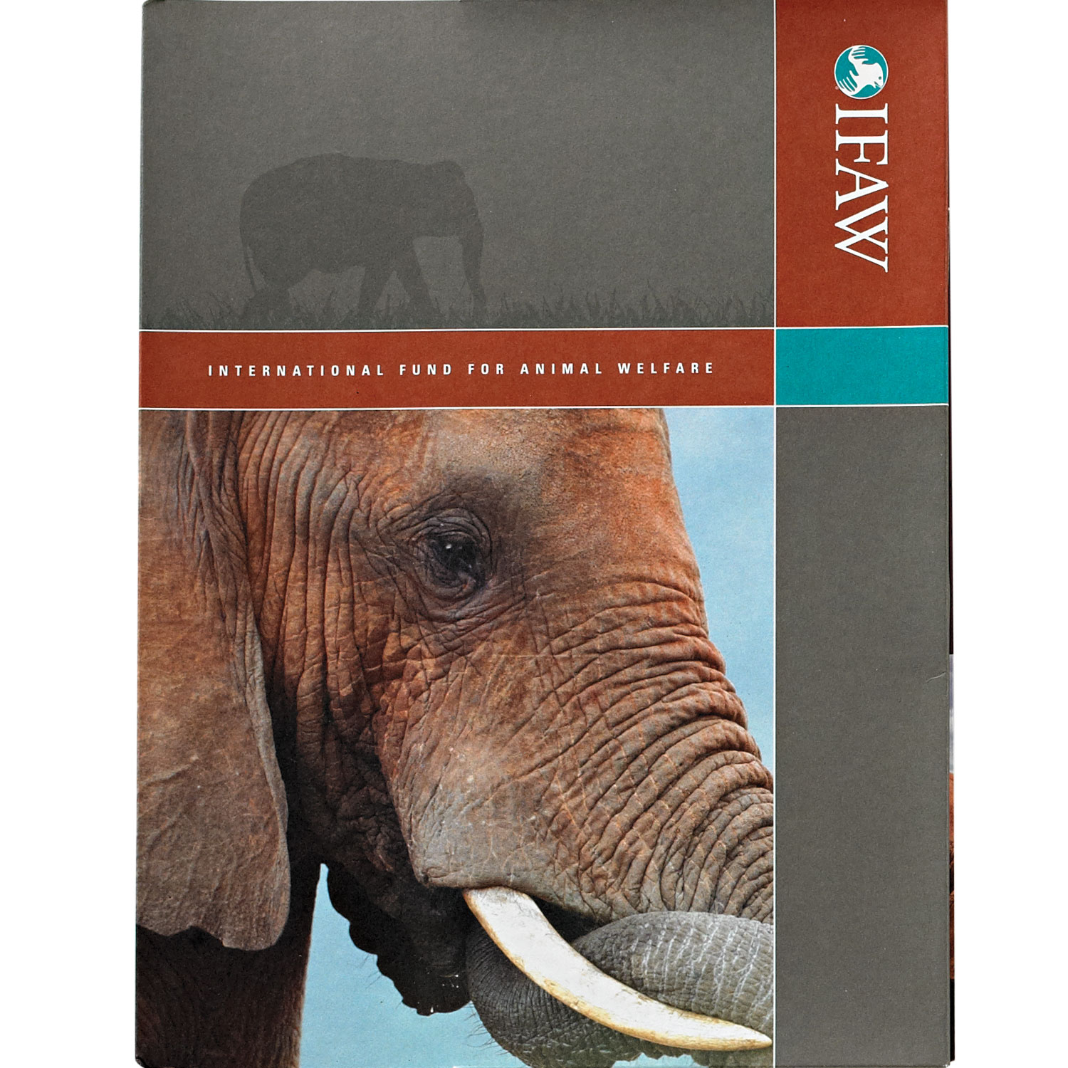 elephant-folder.jpg