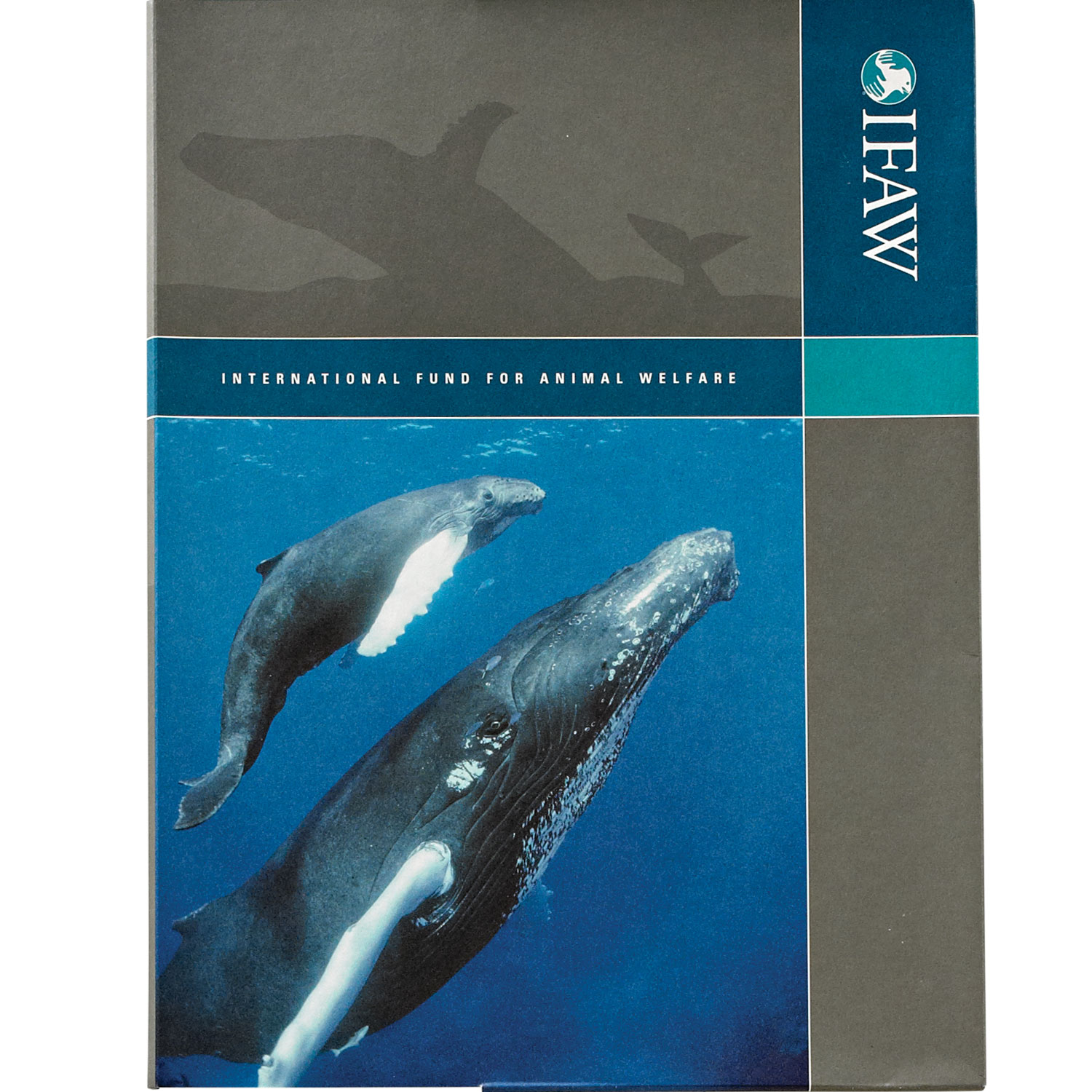 whale-folder.jpg