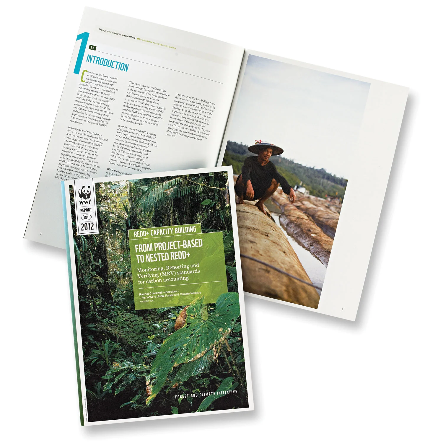 REDD+ Capacity Building Report