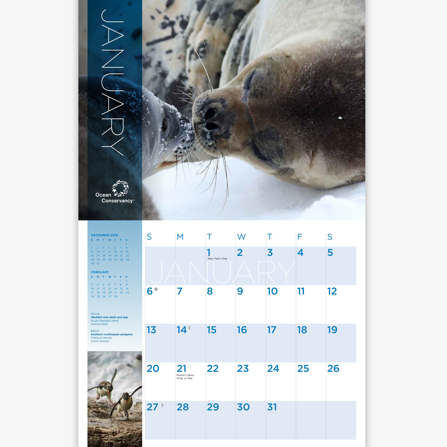  Member Calendar 