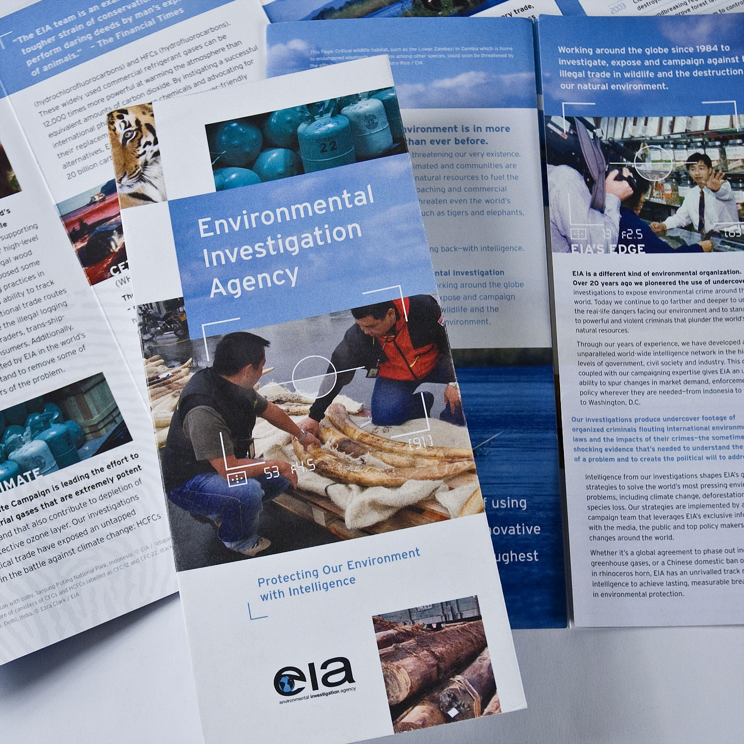 eia-brochure.jpg