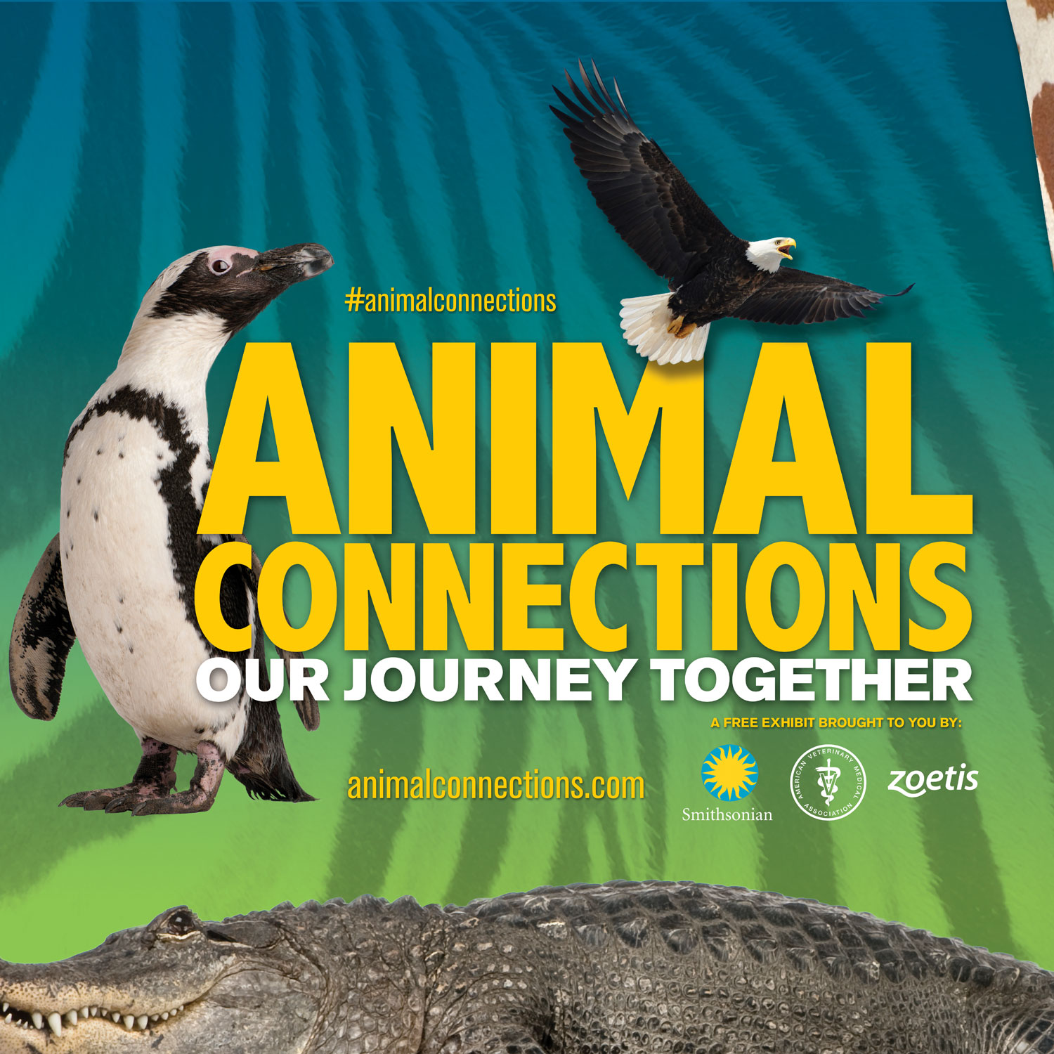  Animal Connections  – Exhibition Graphics 