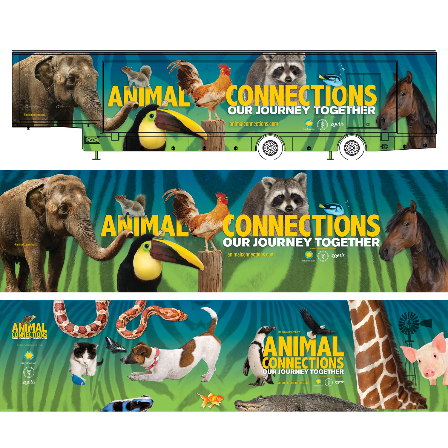   Animal Connections  – Exhibition Graphics 