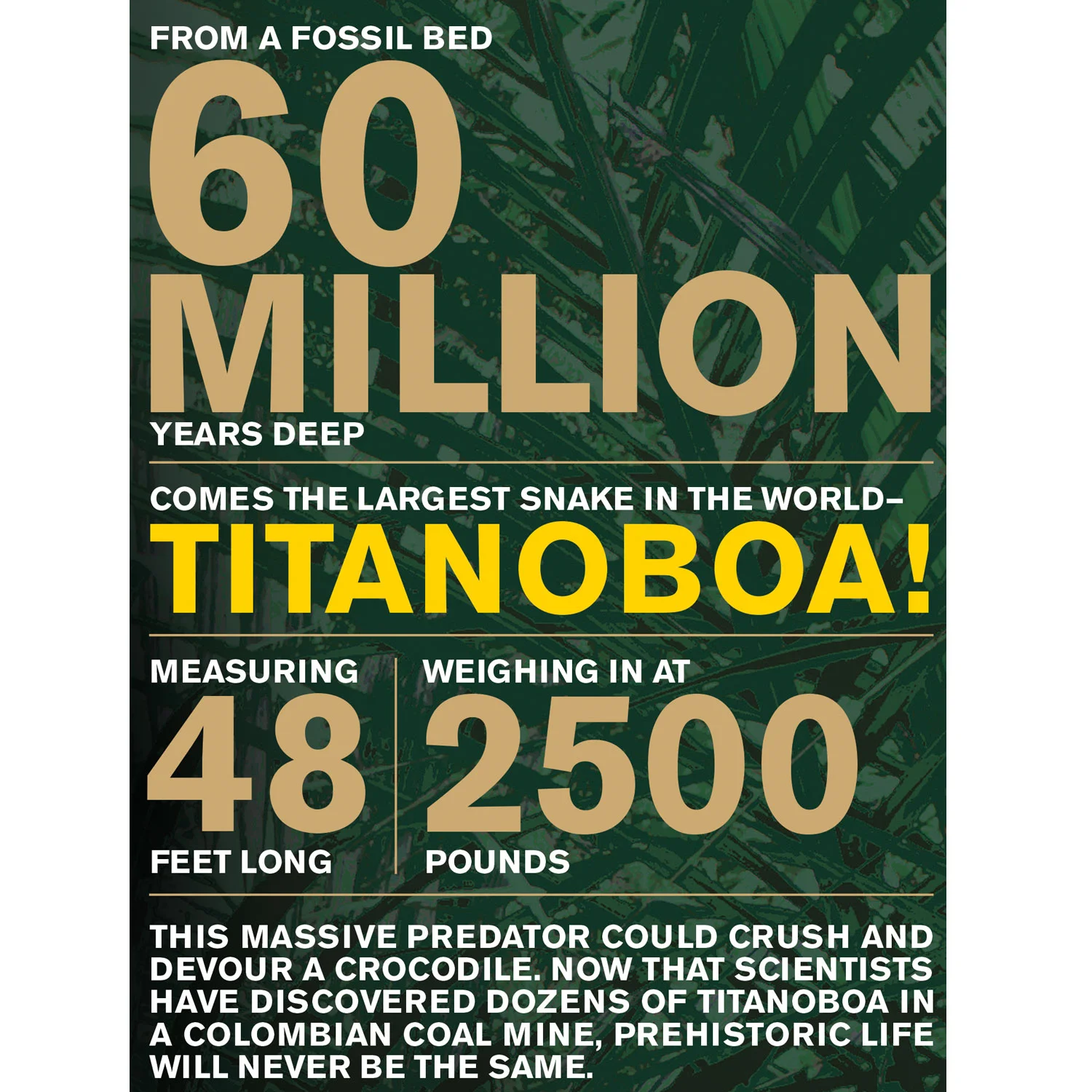 Titanoboa Monster Snake – Exhibition Prospectus