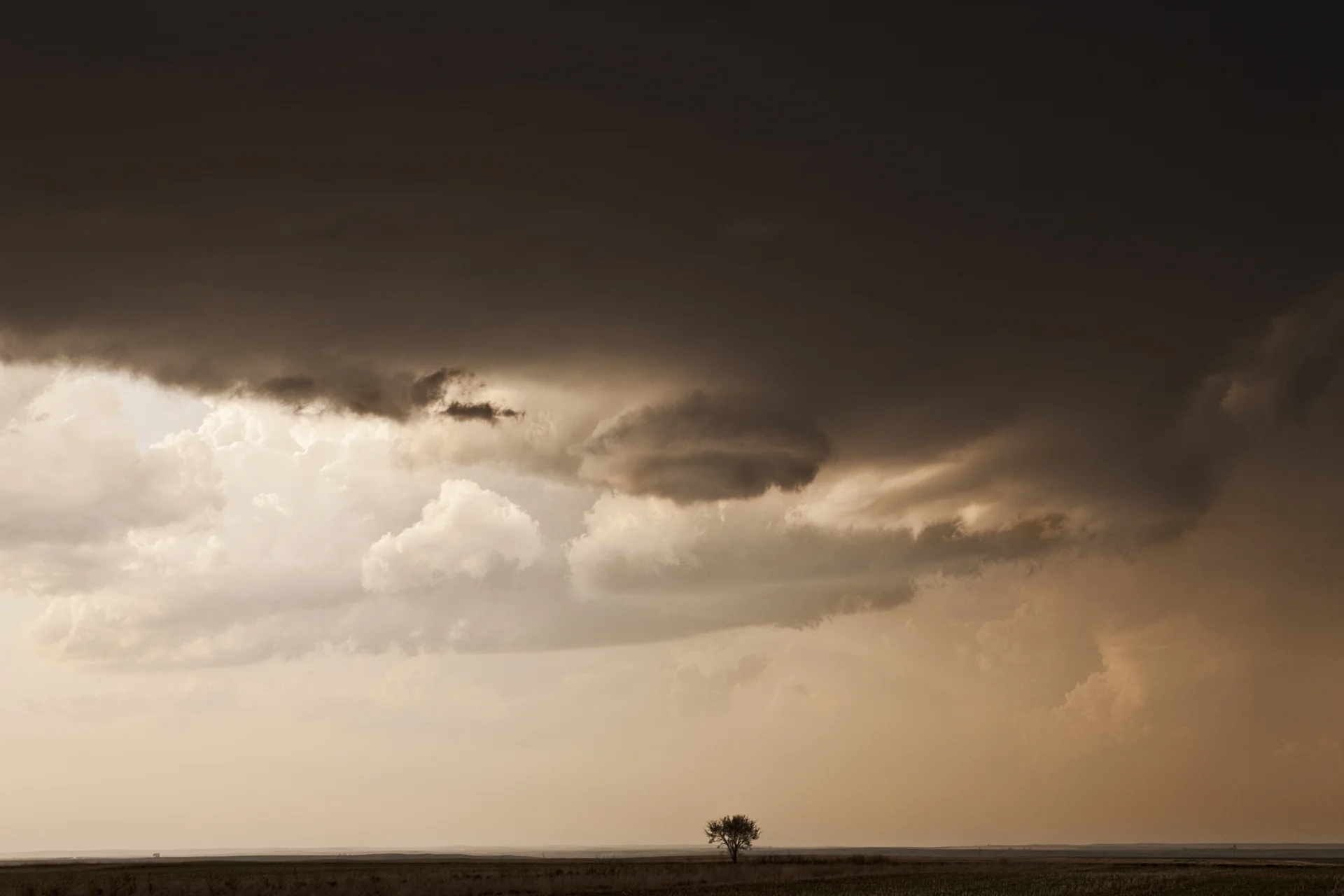 Lone Tree, May Kansas 2011 - Camille Seaman