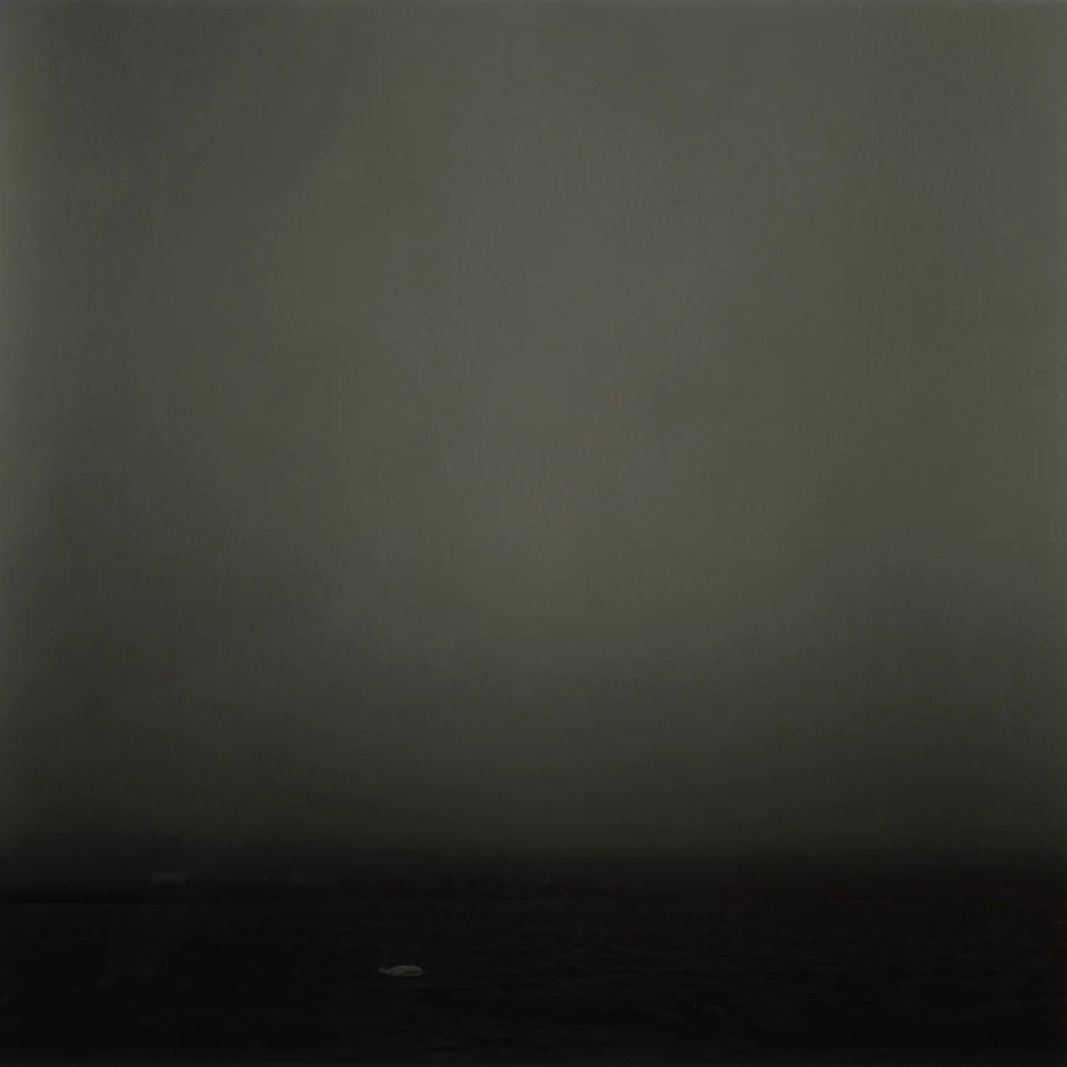 Nightfall, Steness (2)